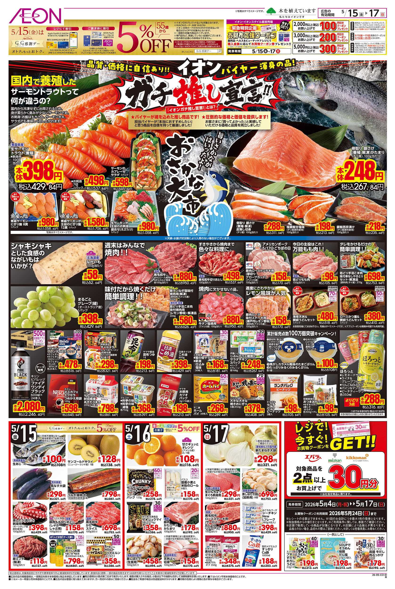 イオン 5/15～5/17