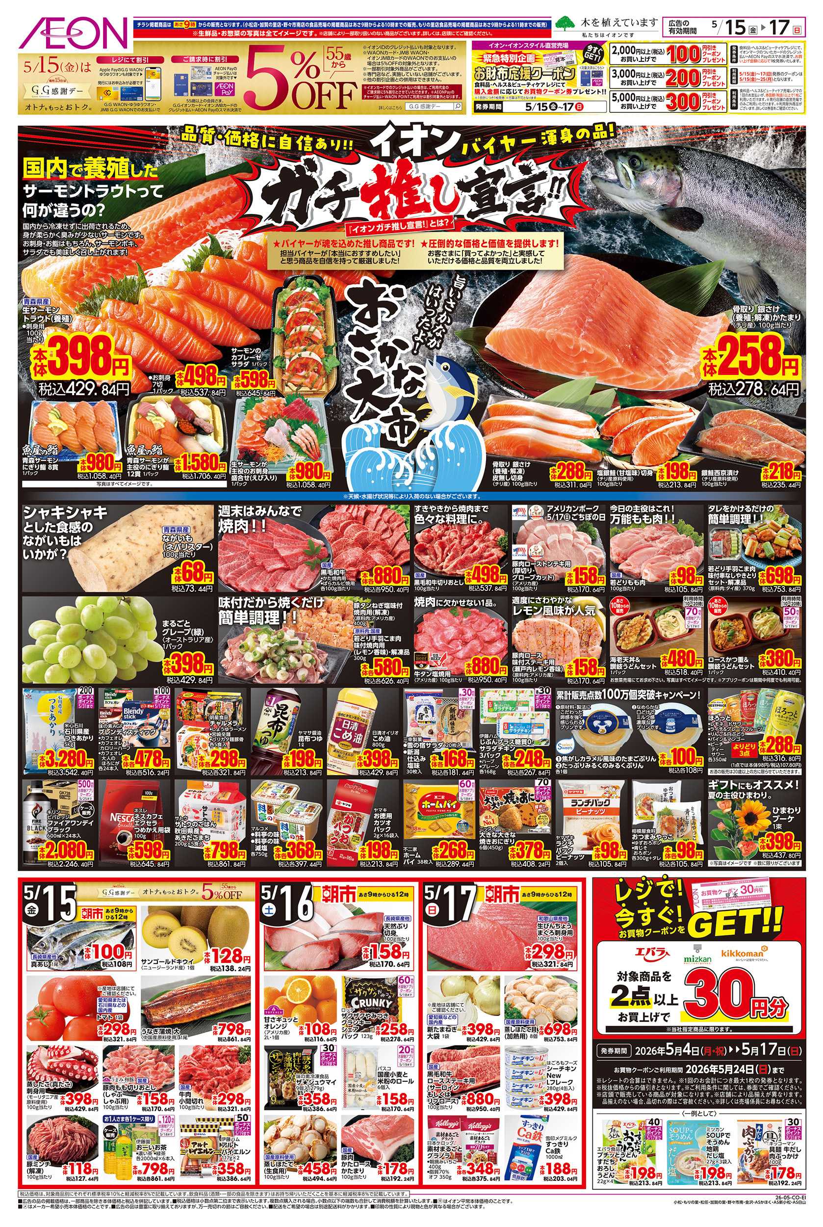 イオン 5/15～5/17