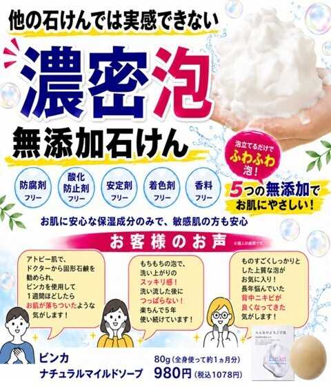 Mycra 手配りチラシ(ビンカ)