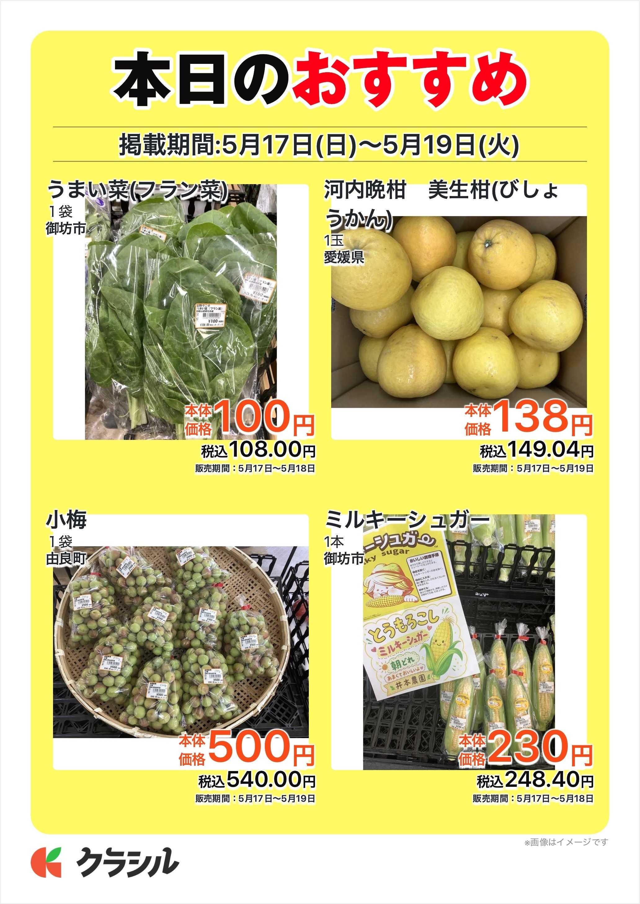 産直市場よってって 本日のおすすめ