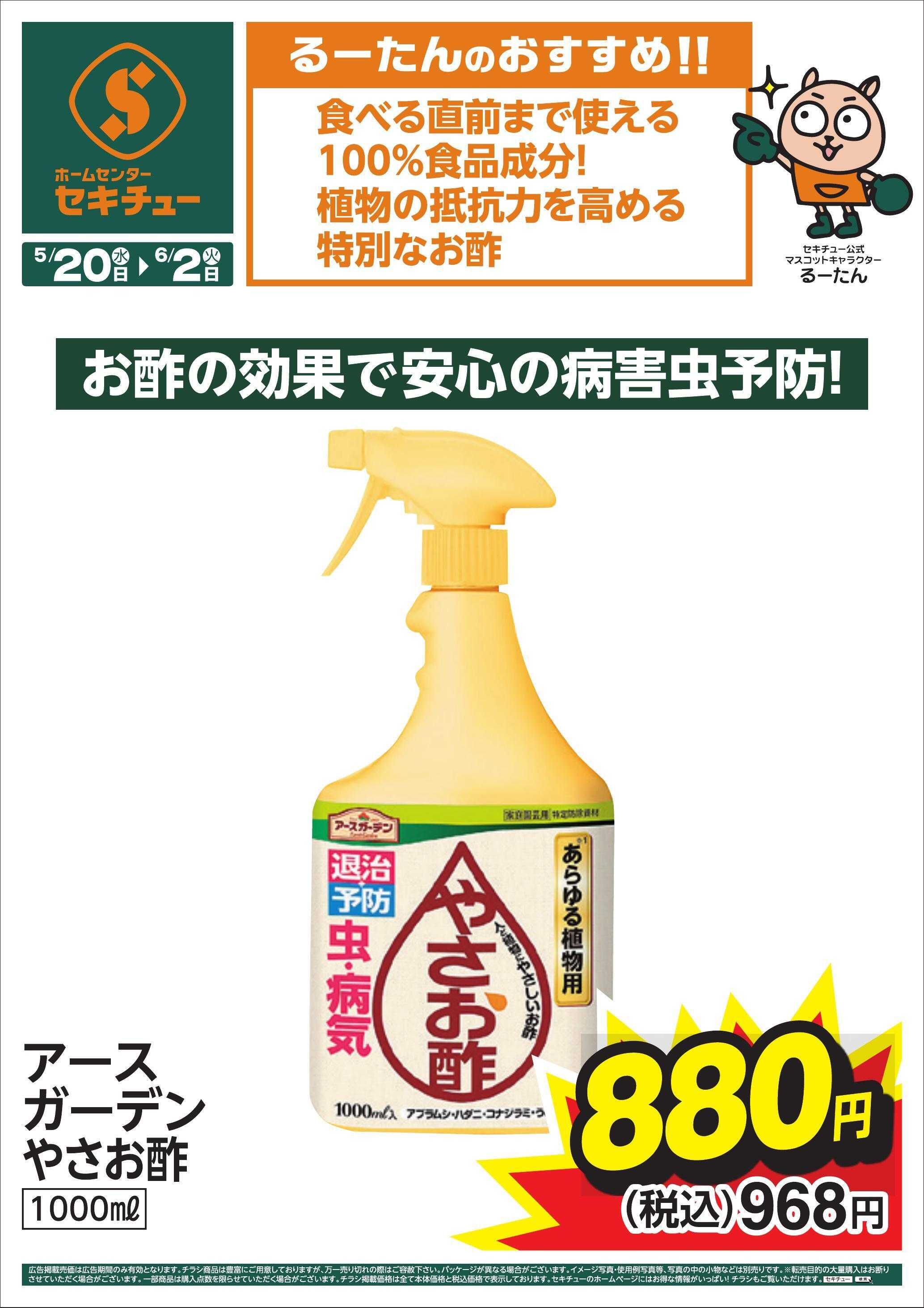セキチュー るーたんのおすすめ！！