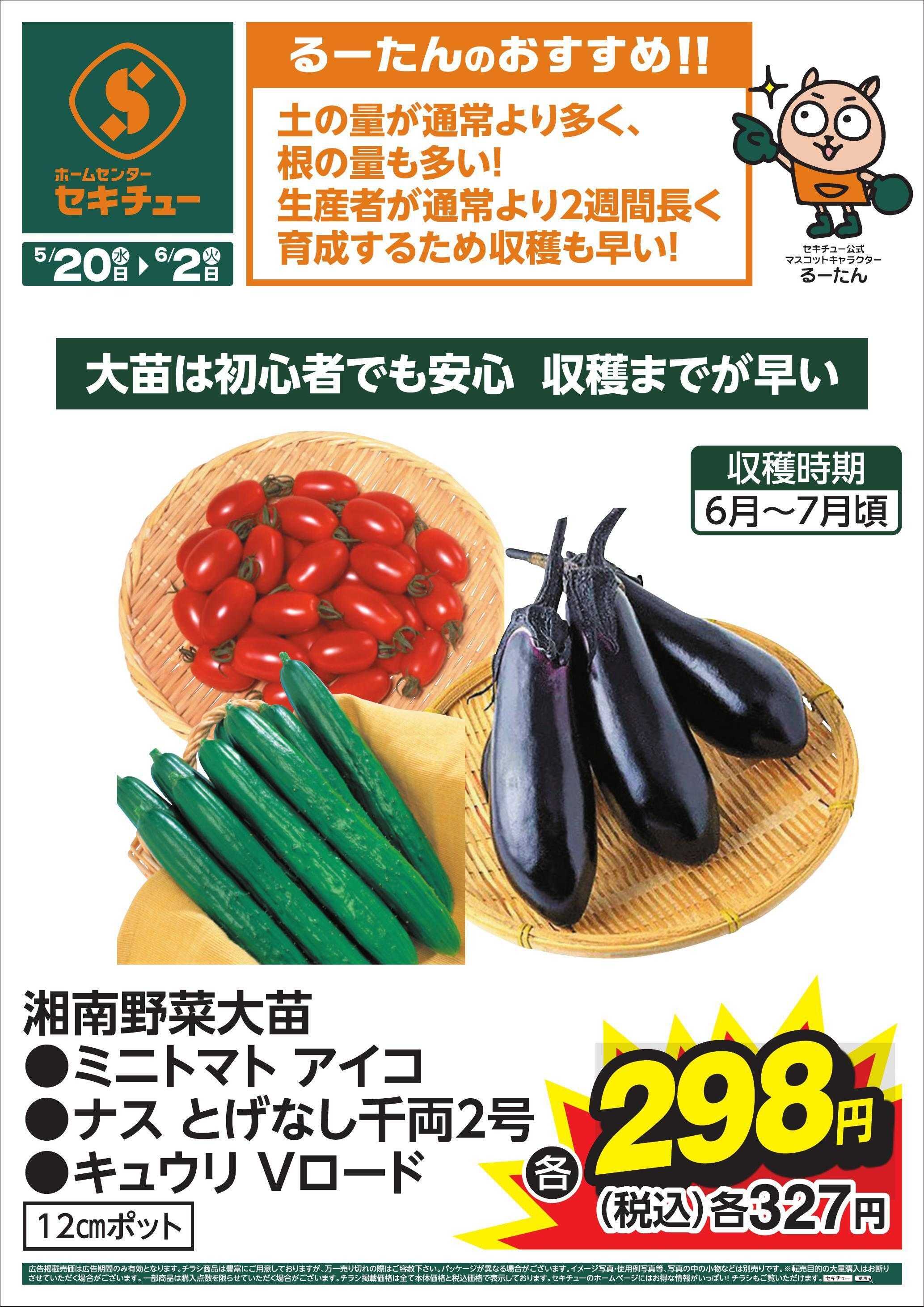 セキチュー るーたんのおすすめ！！
