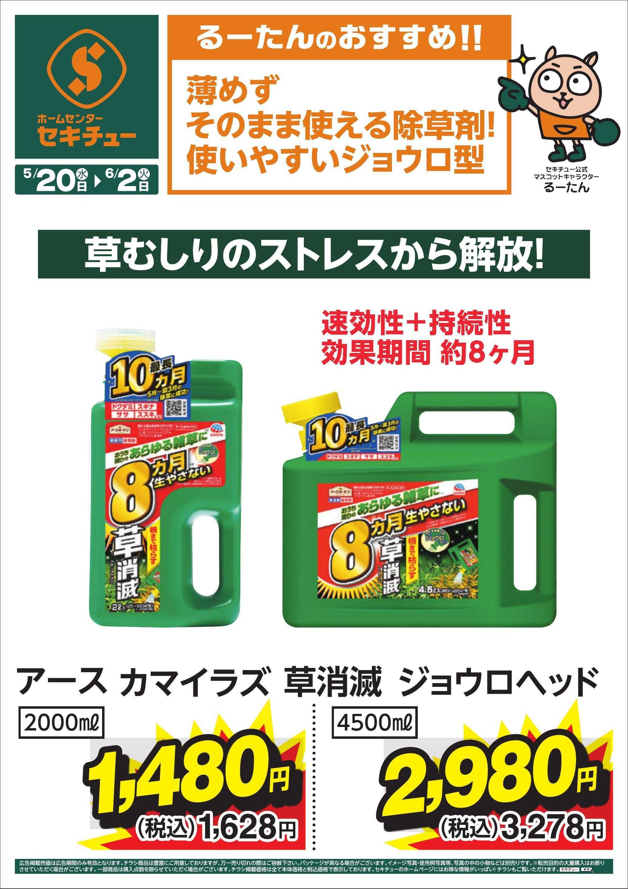 セキチュー るーたんのおすすめ！！