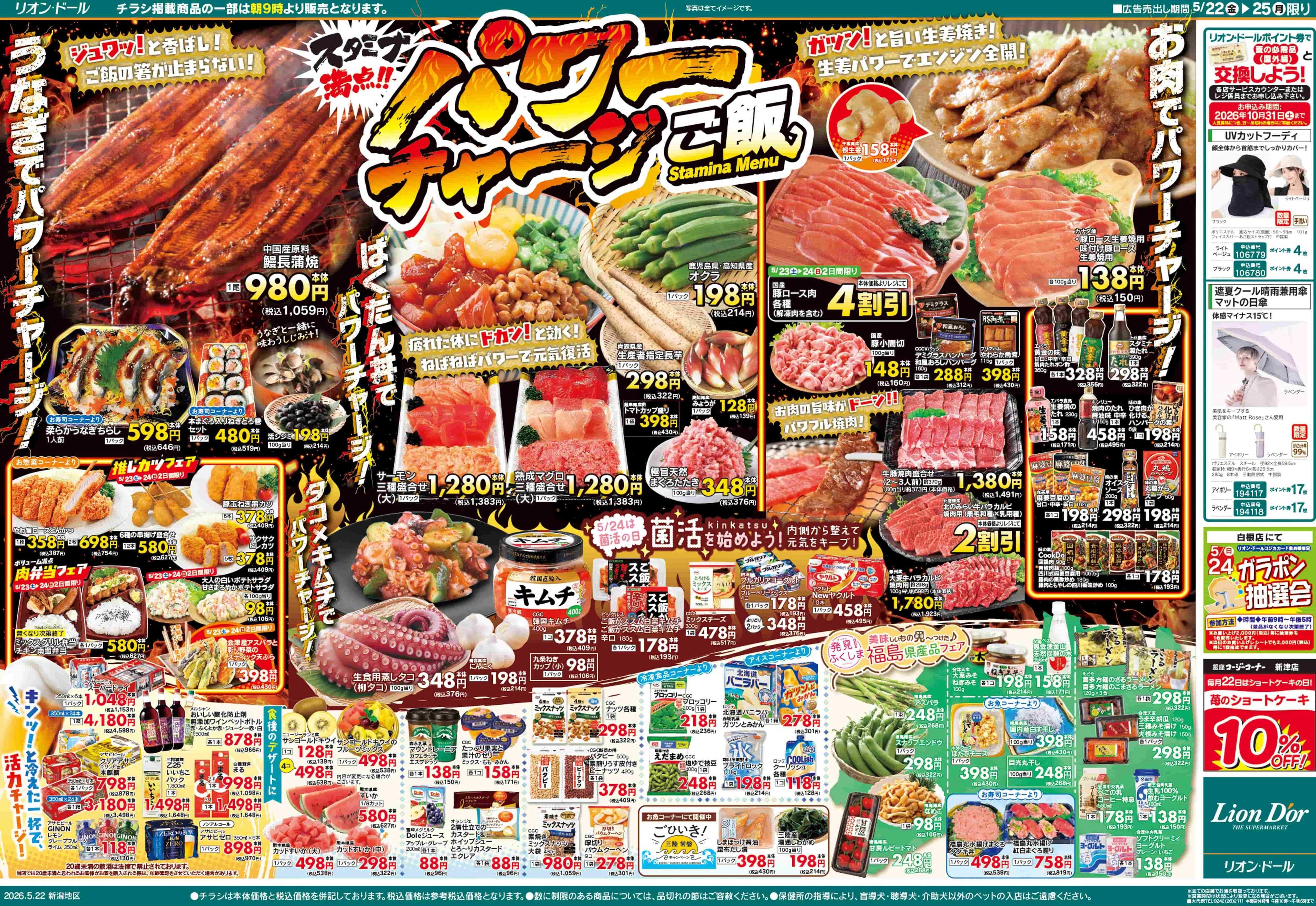 リオン・ドール 5/22号パワーチャージご飯