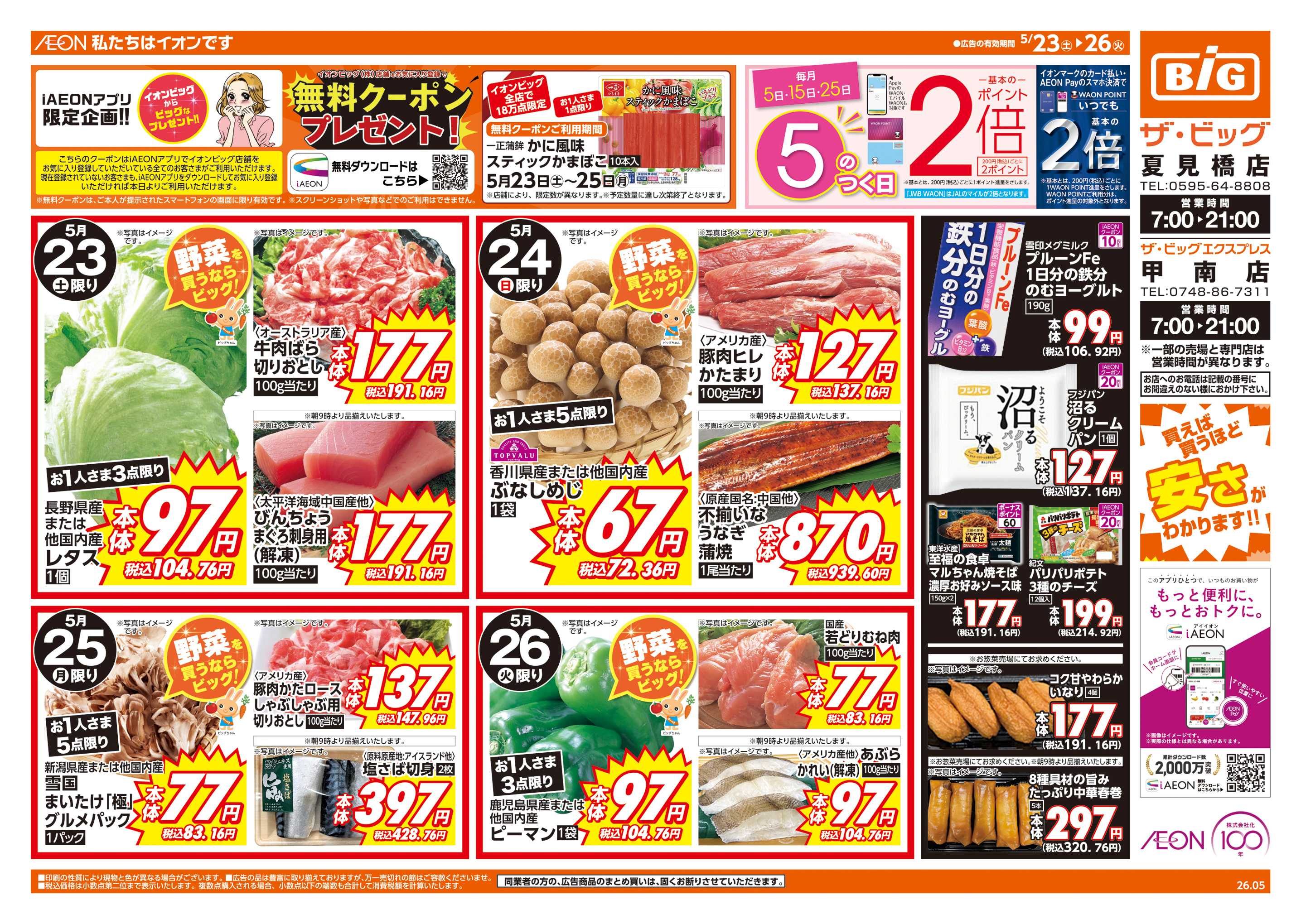 ザ・ビッグ 週末チラシ