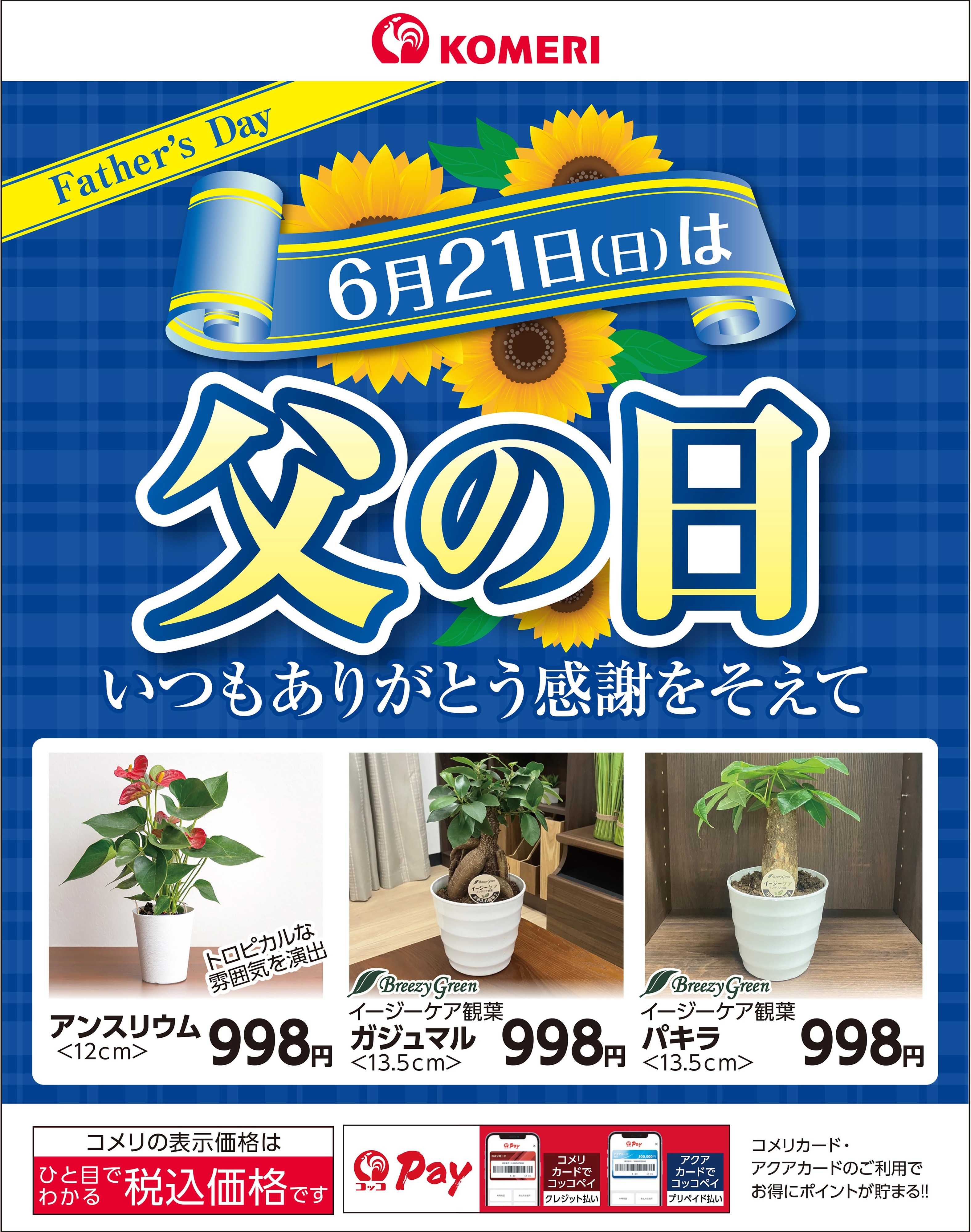 コメリハード＆グリーン  〈6月21日(日)〉 父の日