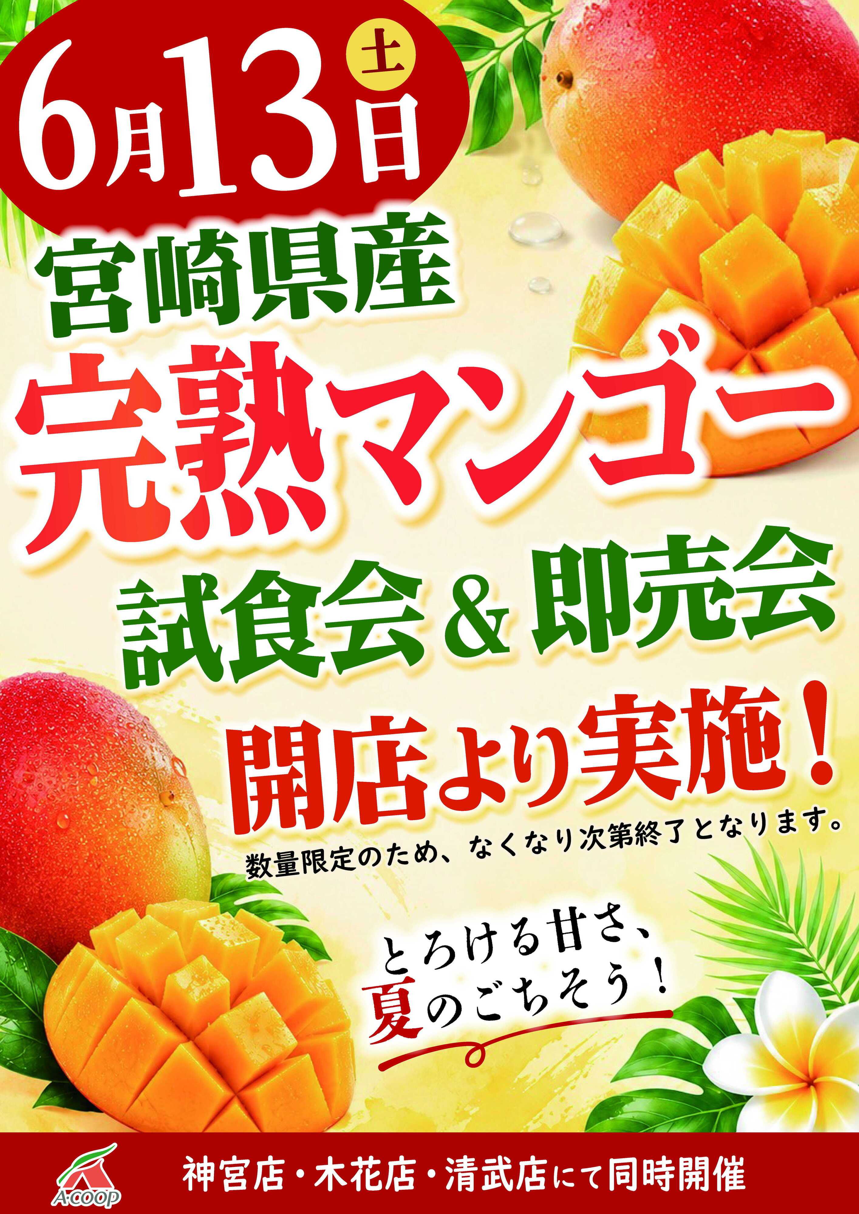 Aコープ 完熟マンゴー試食会＆即売会