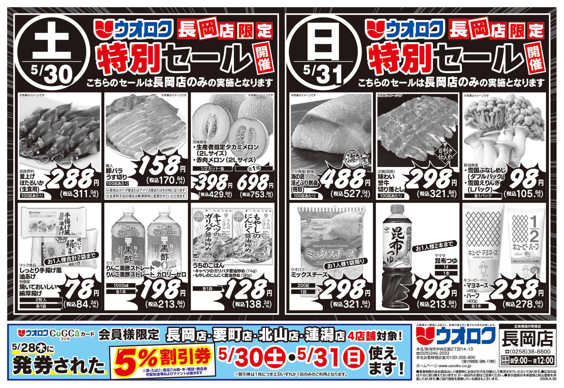 ウオロク 長岡店限定　特別セール/ご予約メニュー