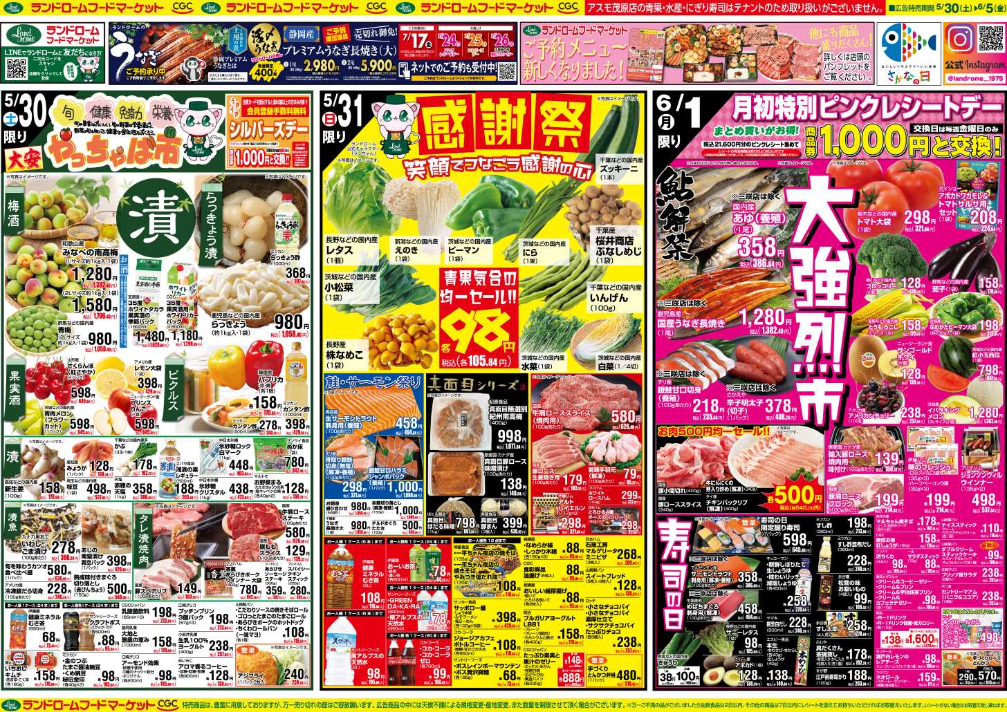 ランドローム 5/30号