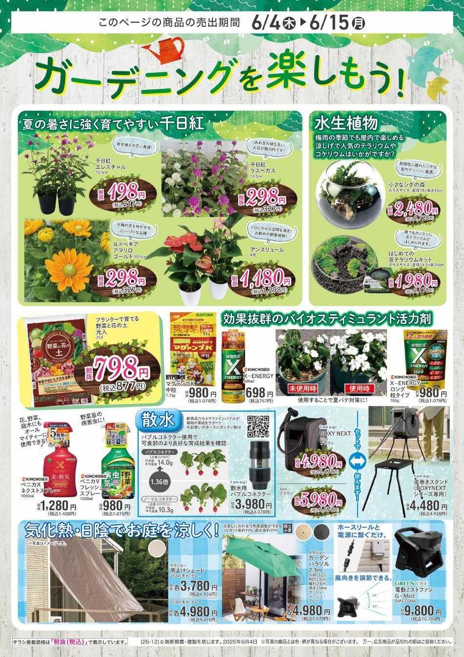 アヤハディオ アヤカポイントリニューアル祭