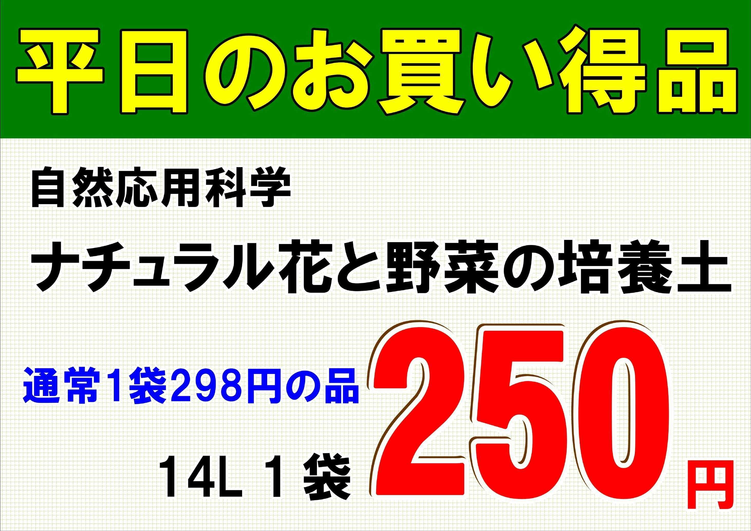 JA尾張中央 グリーンセンター春日井中央店6月平日のお買い得販売（月・火・木・金）開催！