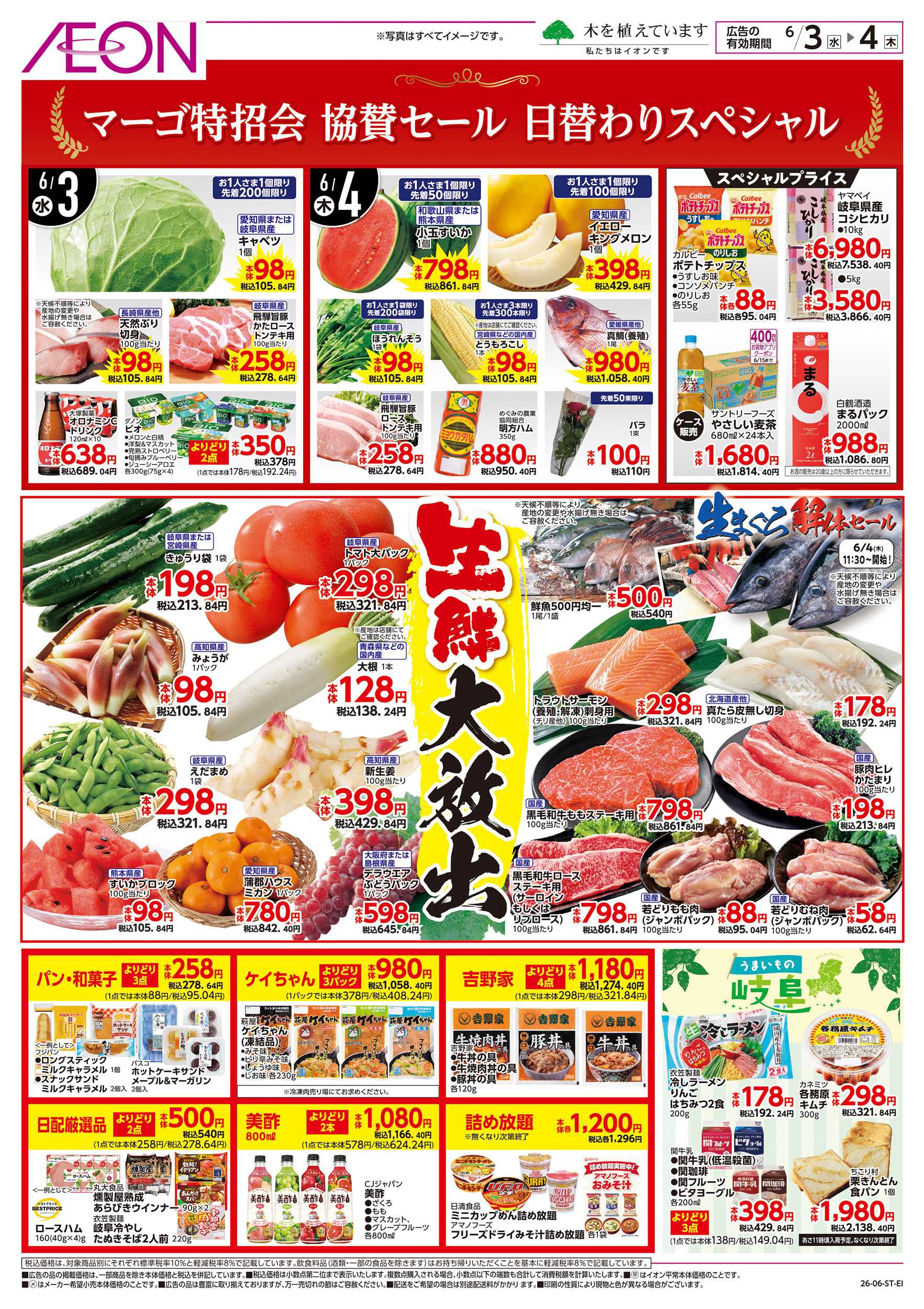 イオン 6/3～6/4