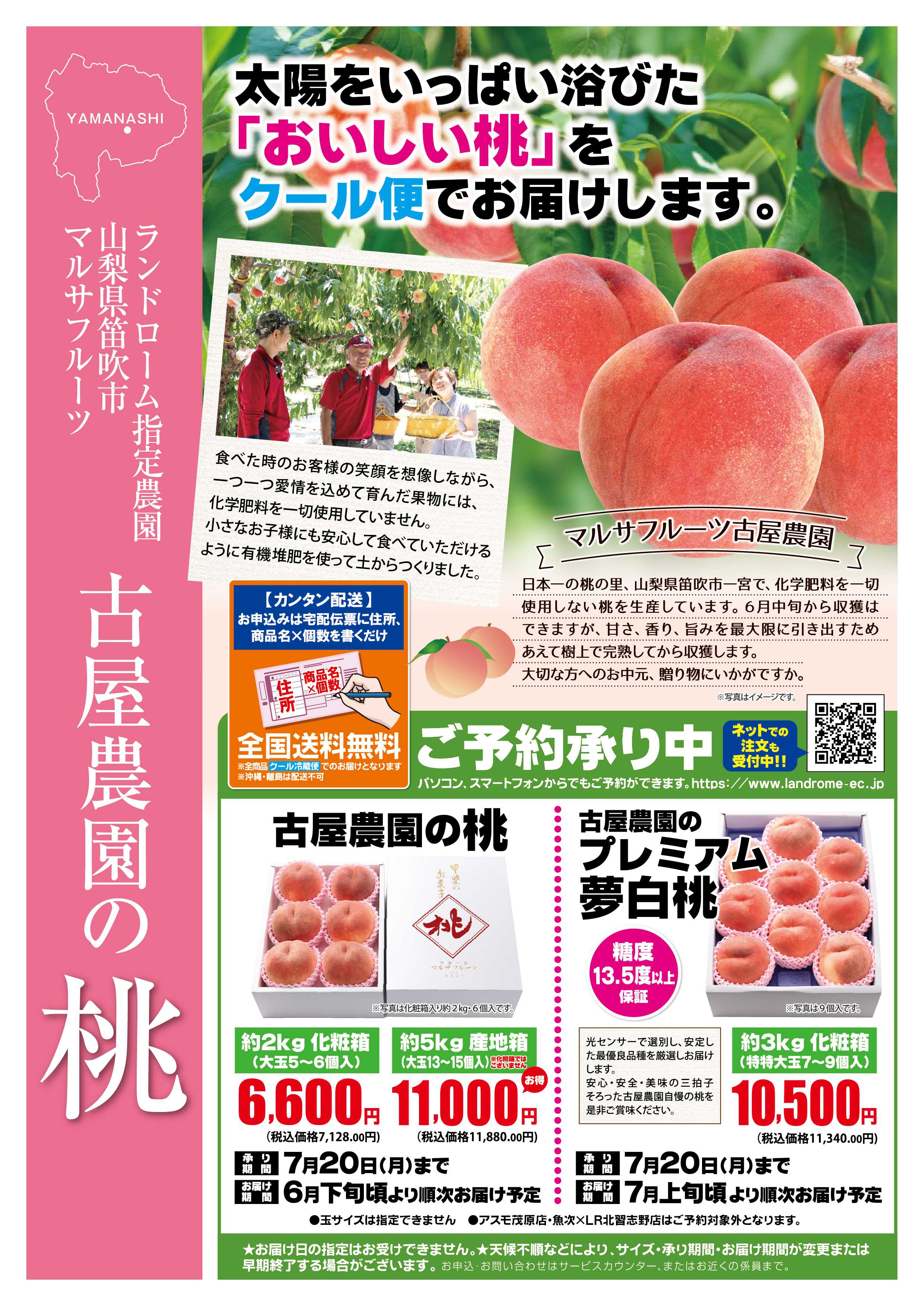 ランドローム 産直ギフト_古屋農園の桃