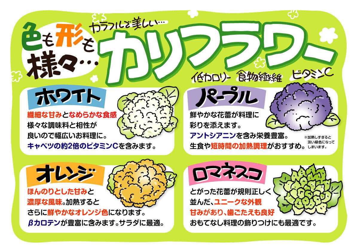 北海市場 【6月のこだわり商品】カリフラワー各種▼▼お知らせをチェック！▼▼