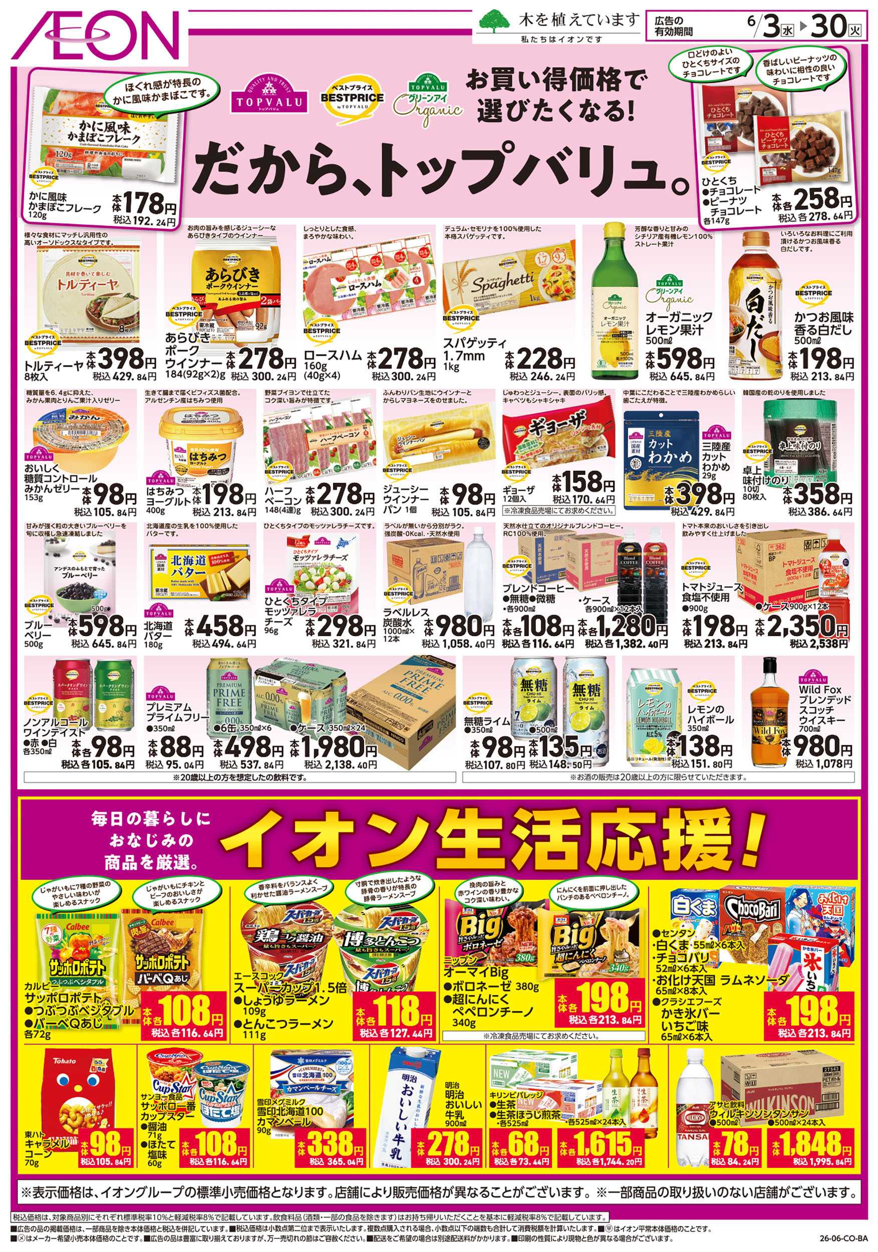 イオンスタイル 6/3号　生活応援