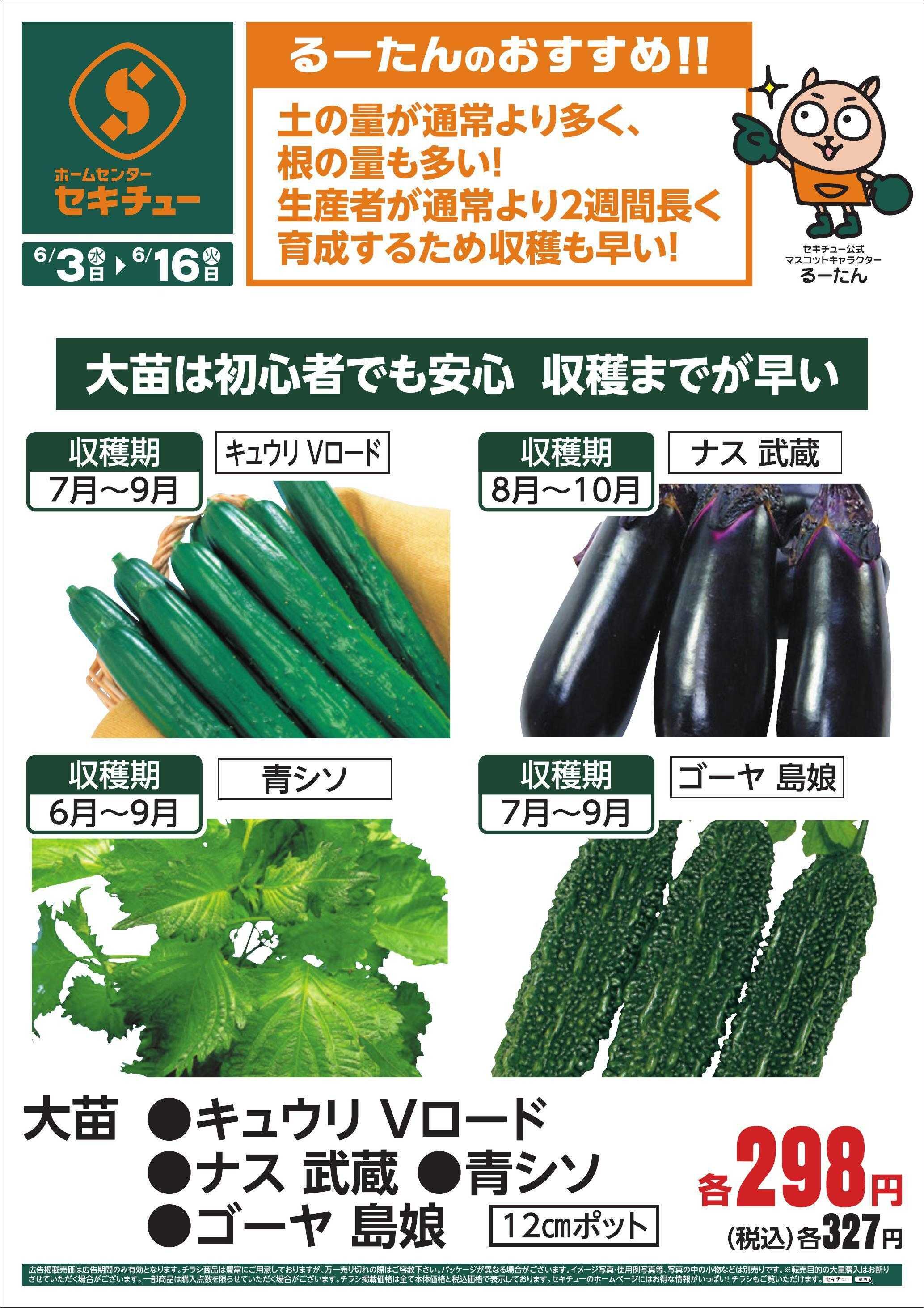 セキチュー るーたんのおすすめ！！