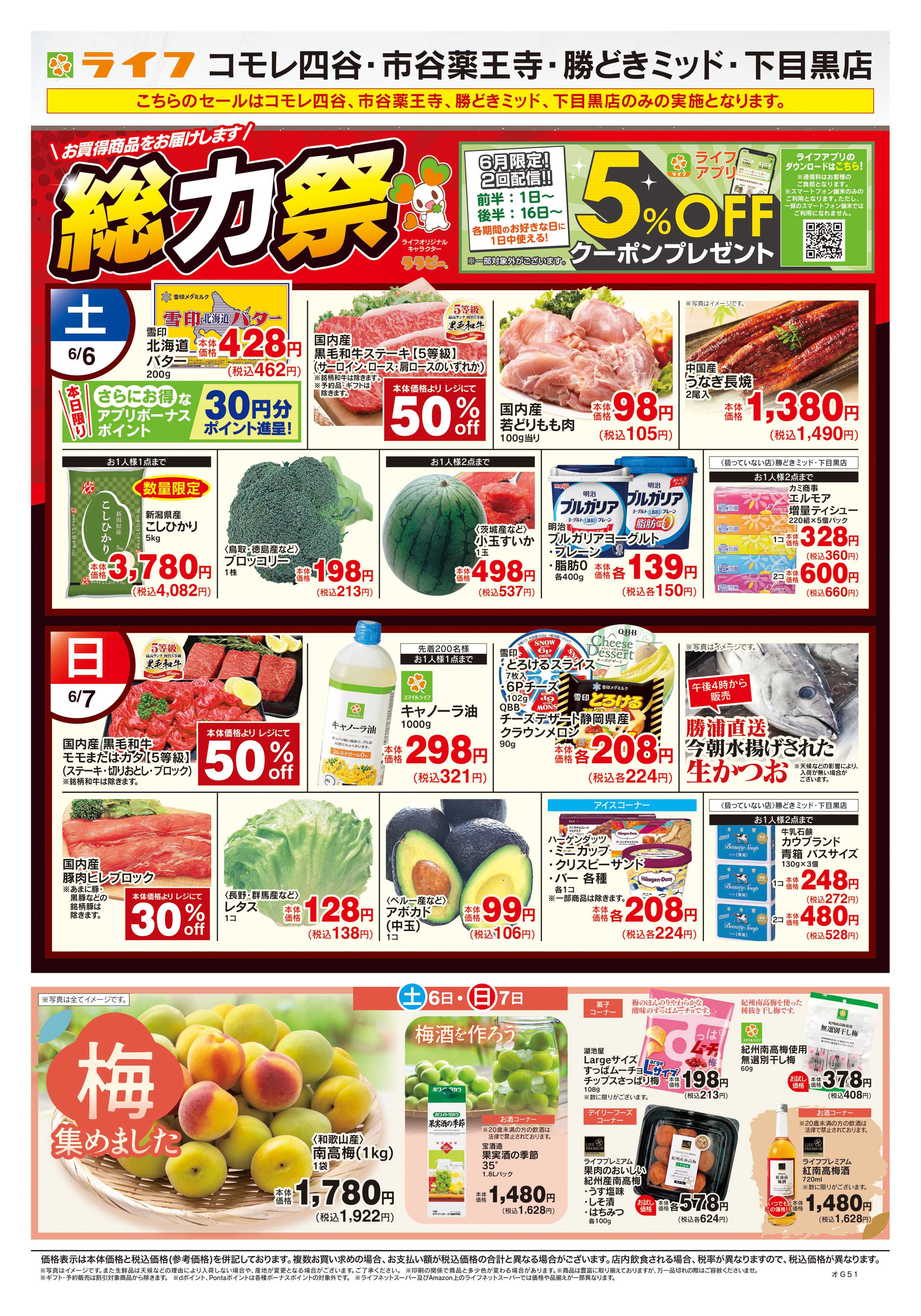 ライフ 6/6号　総力祭/梅集めました