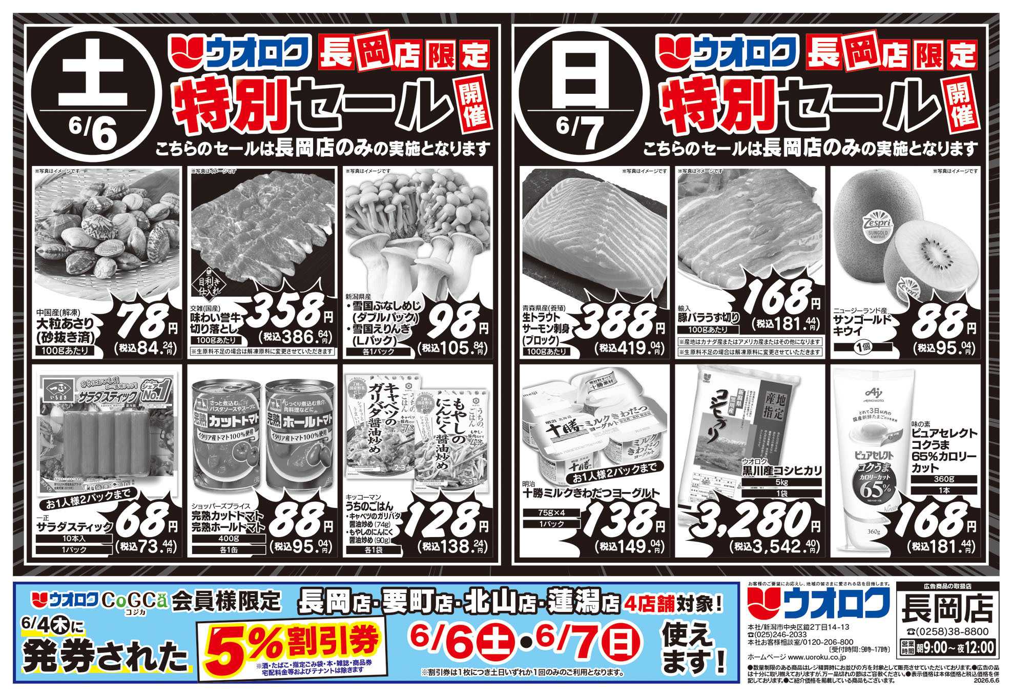 ウオロク 長岡店限定　特別セール