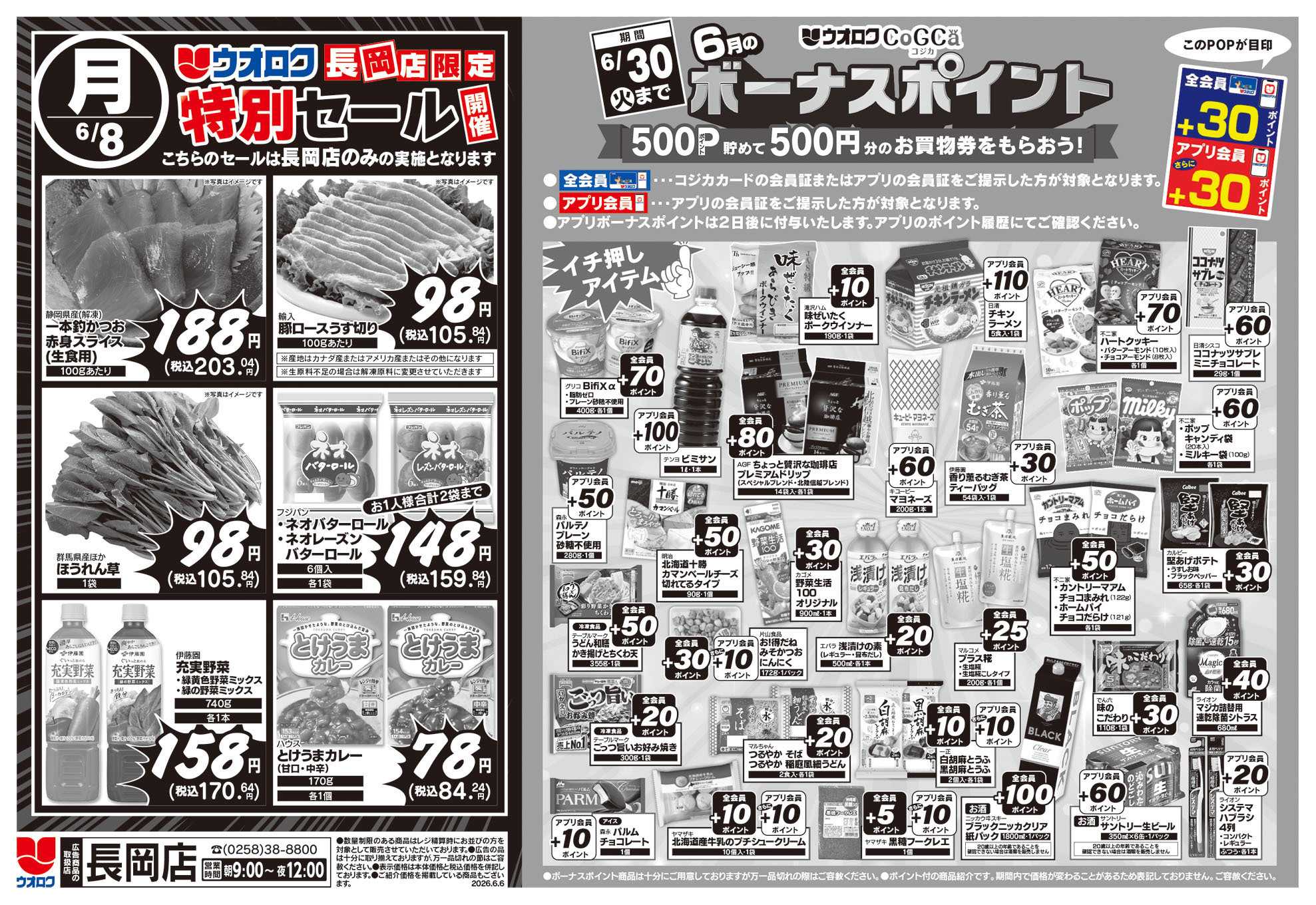 ウオロク 長岡店限定　特別セール