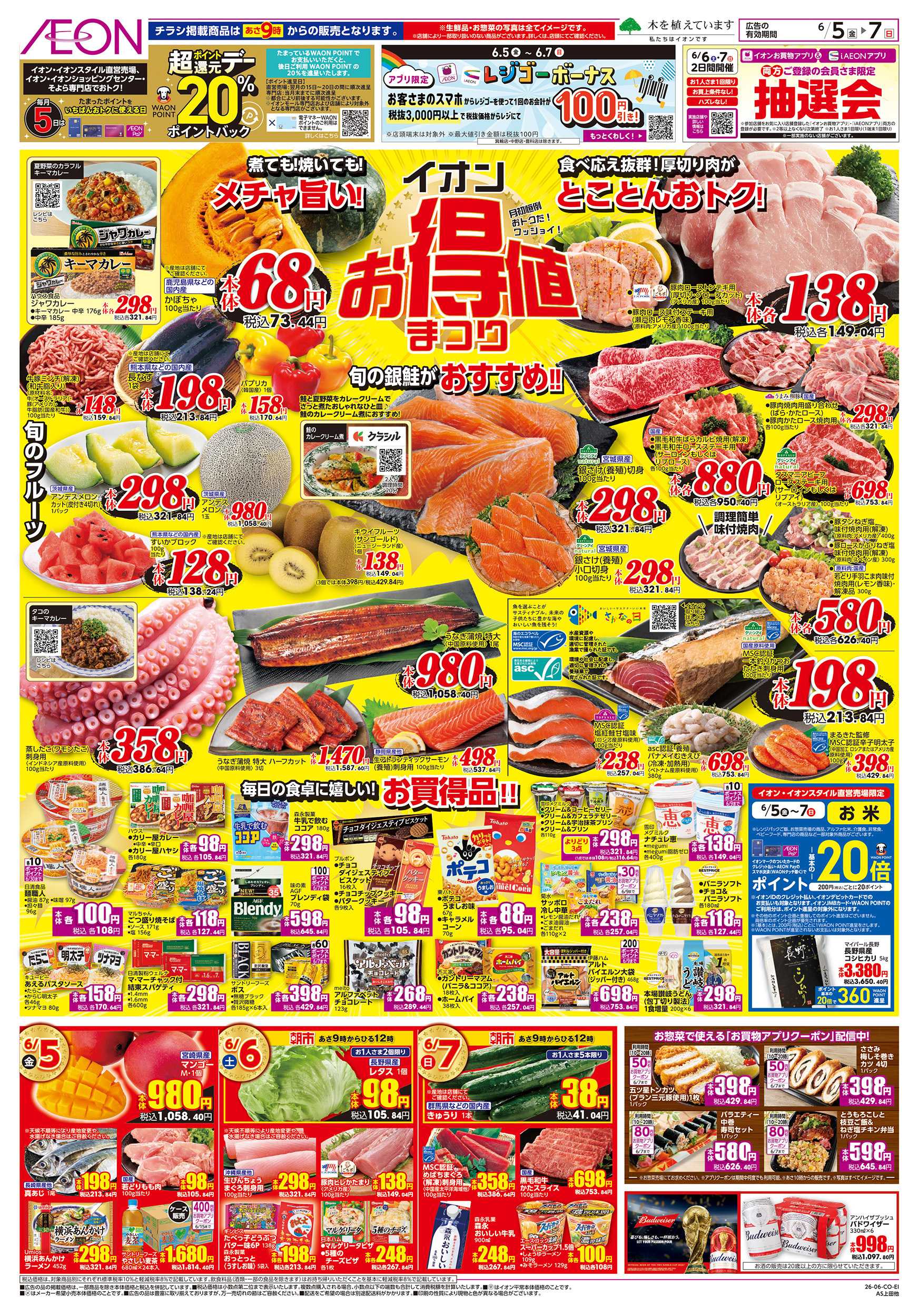 イオン 6/5～6/7