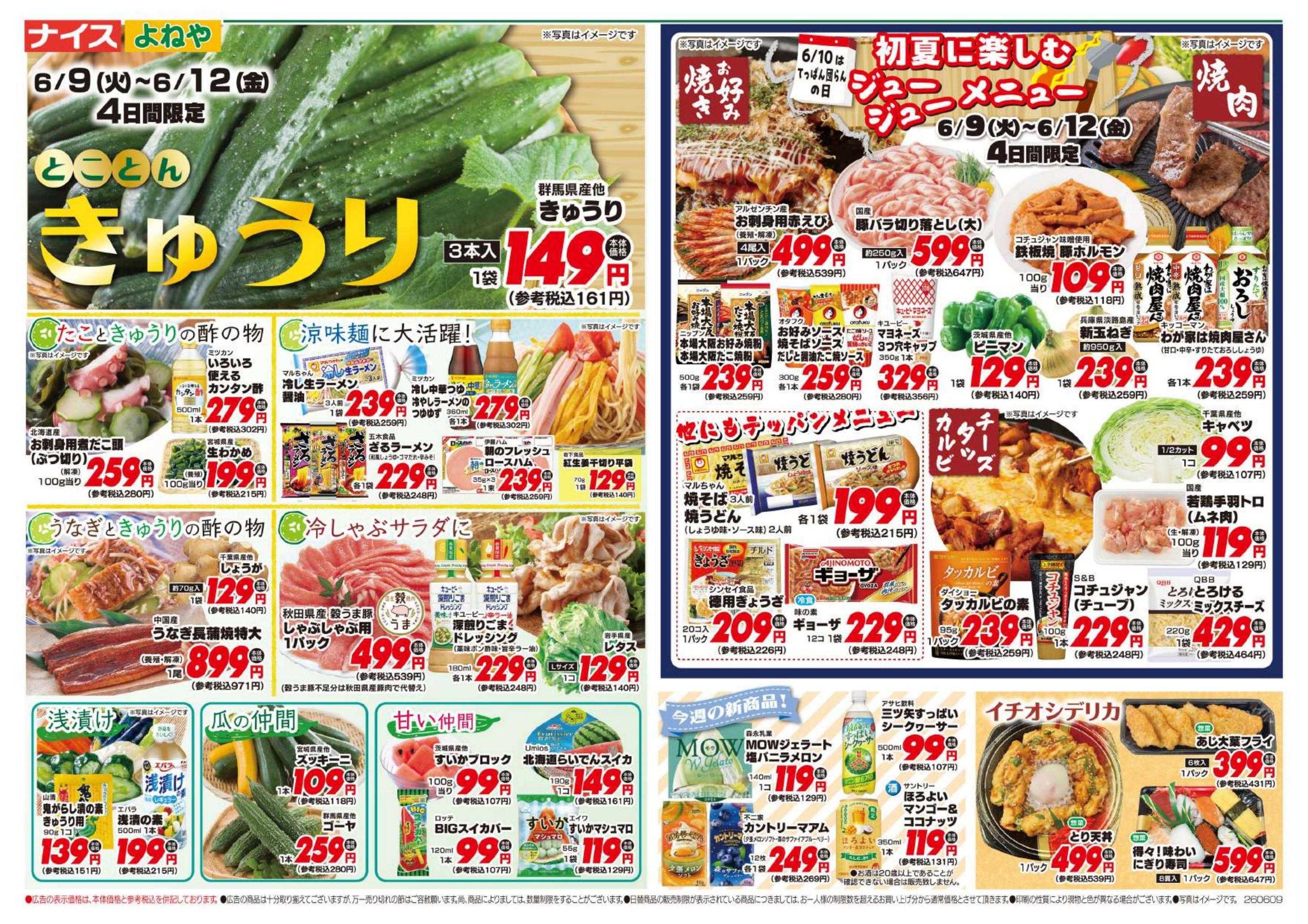 ナイス 6月9日号