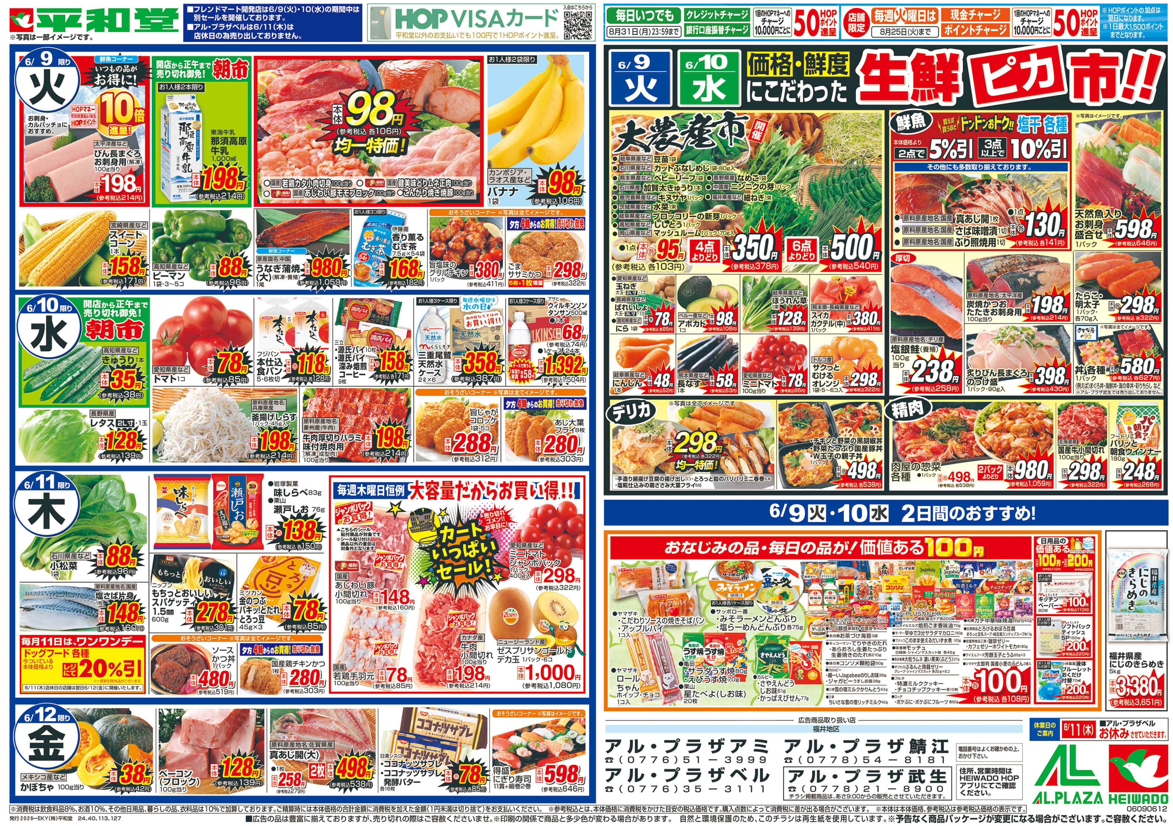 平和堂 6/6（土）～簡単!夏飯レシピ【裏面】