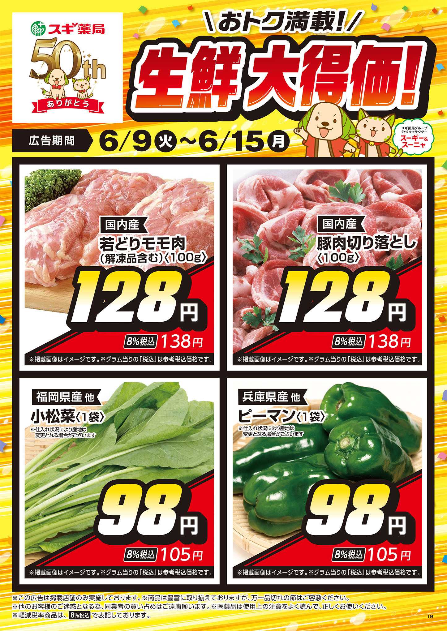 ジャパン チラシのご案内