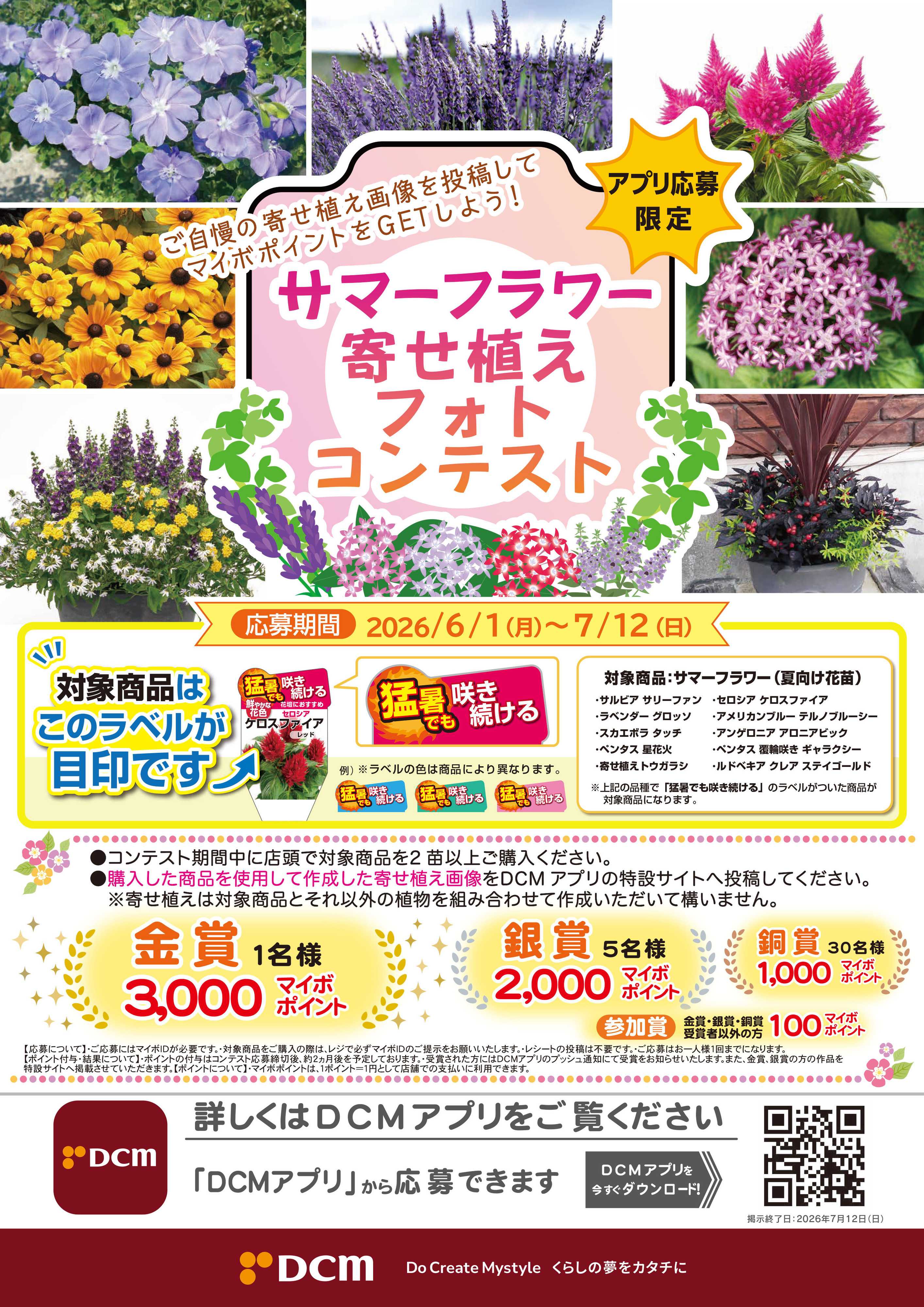 DCM サマーフラワーフラワー寄せ植えフォトコンテスト