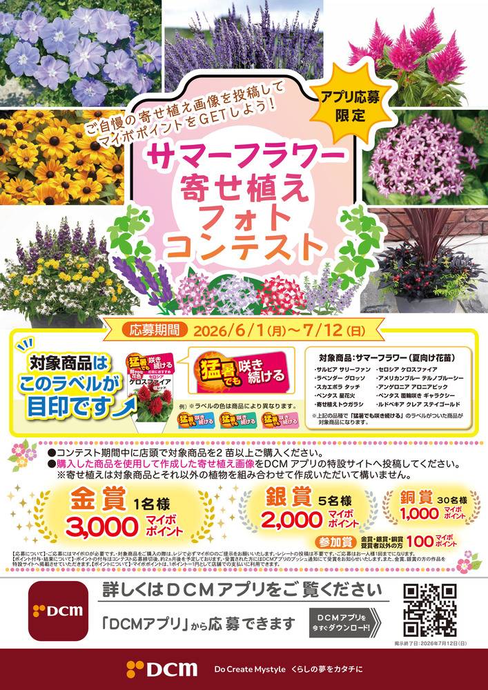 DCM 元町店の最新チラシ・セール情報 | クラシルチラシ