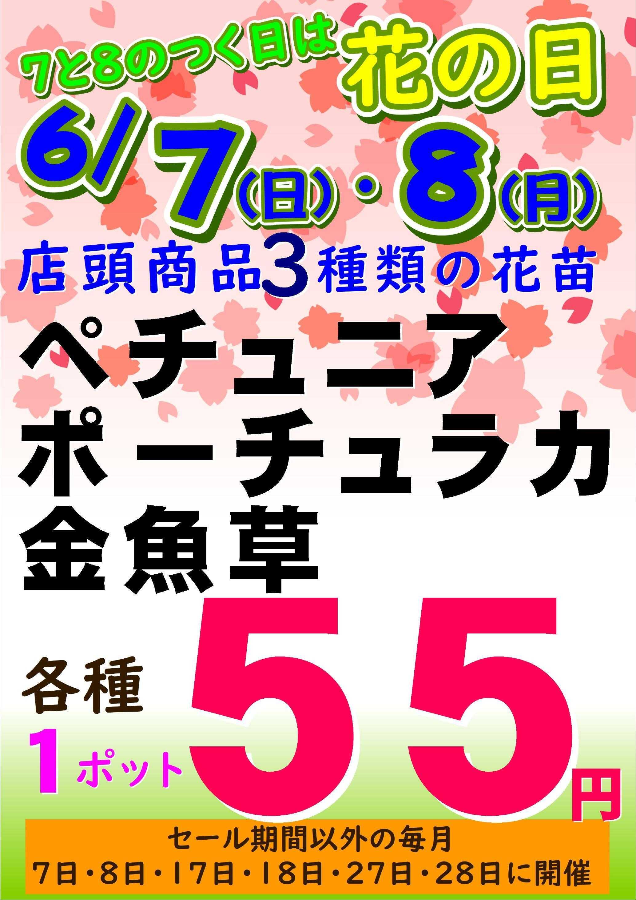 JA尾張中央 グリーンセンター春日井中央店6/7・8花の日特売