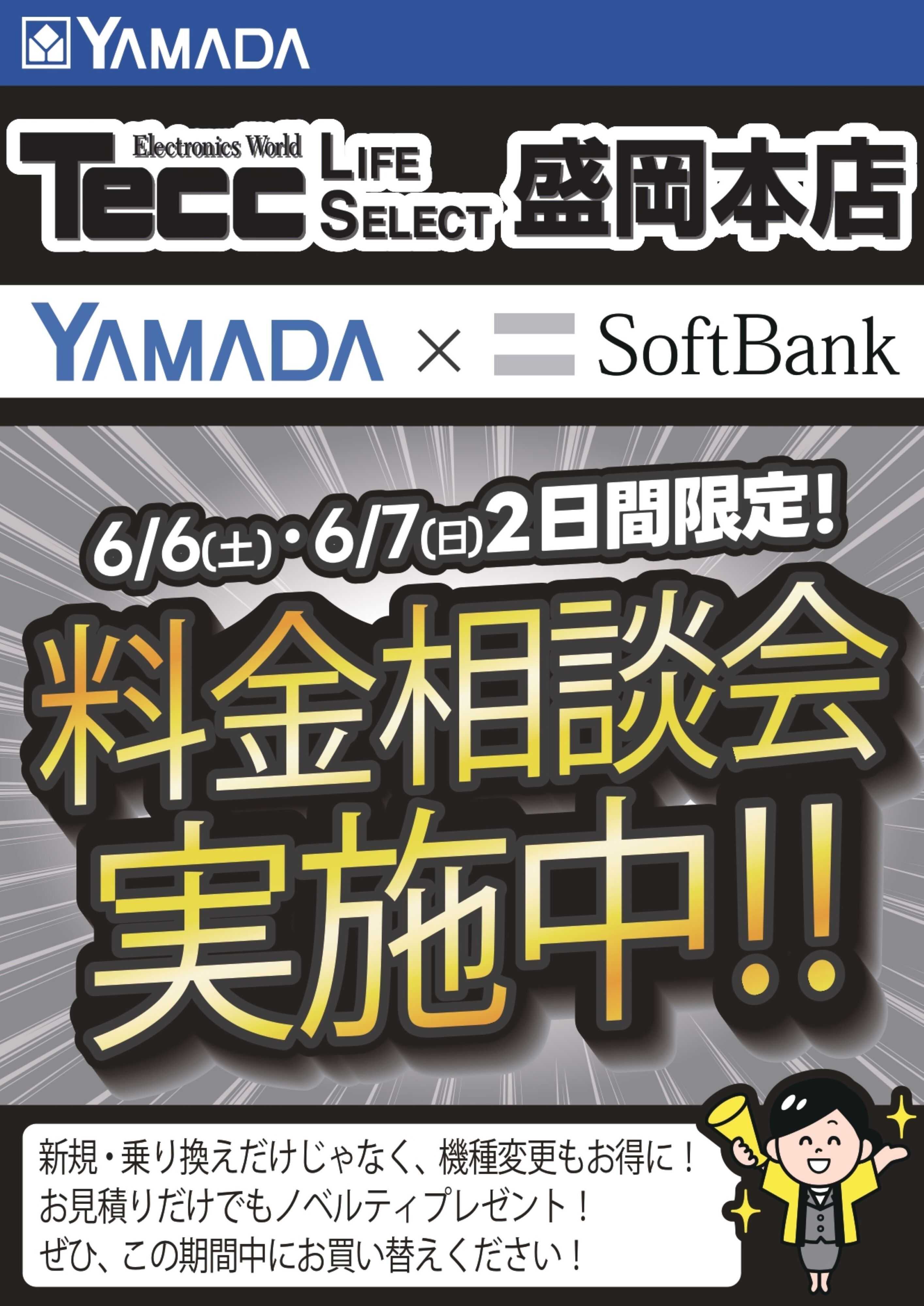 ヤマダデンキ 土日限定企画！