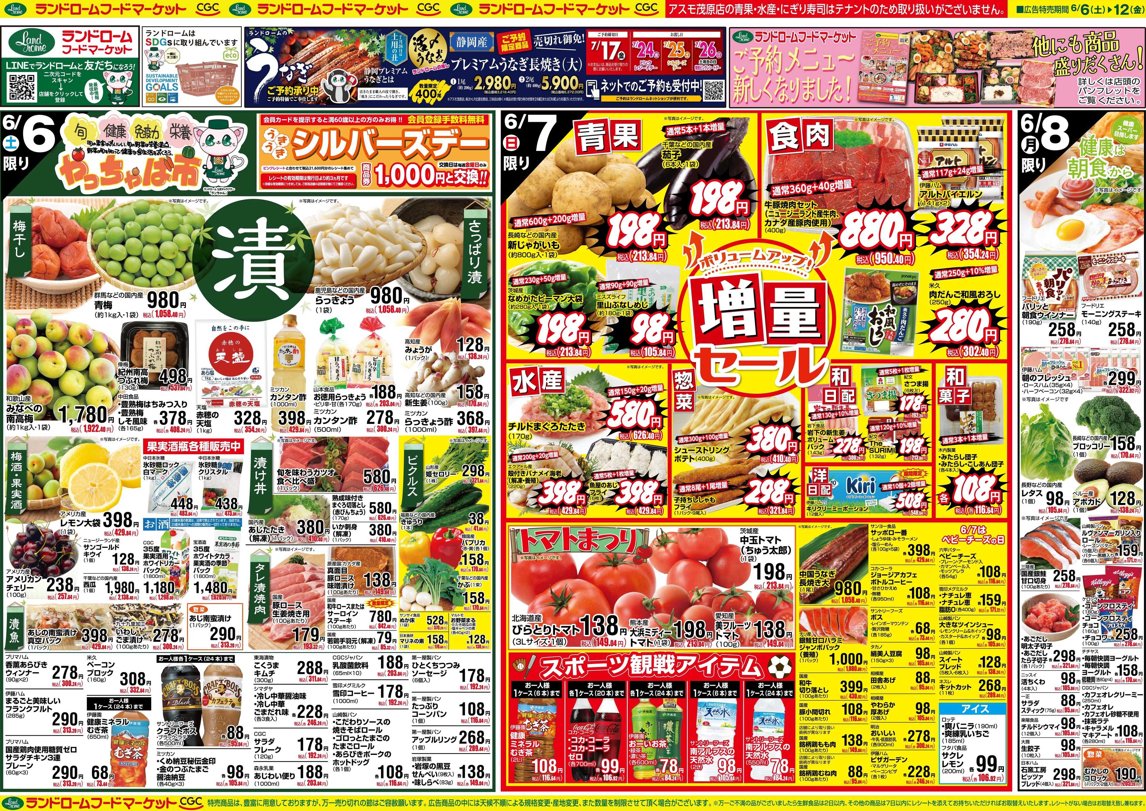 ランドローム 6/6号