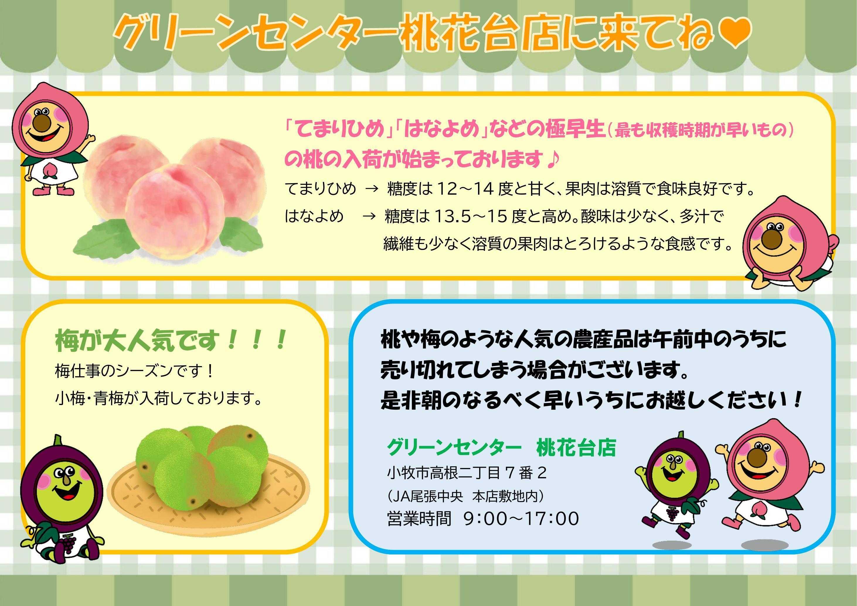 JA尾張中央 【大人気】桃・梅　入荷してます！