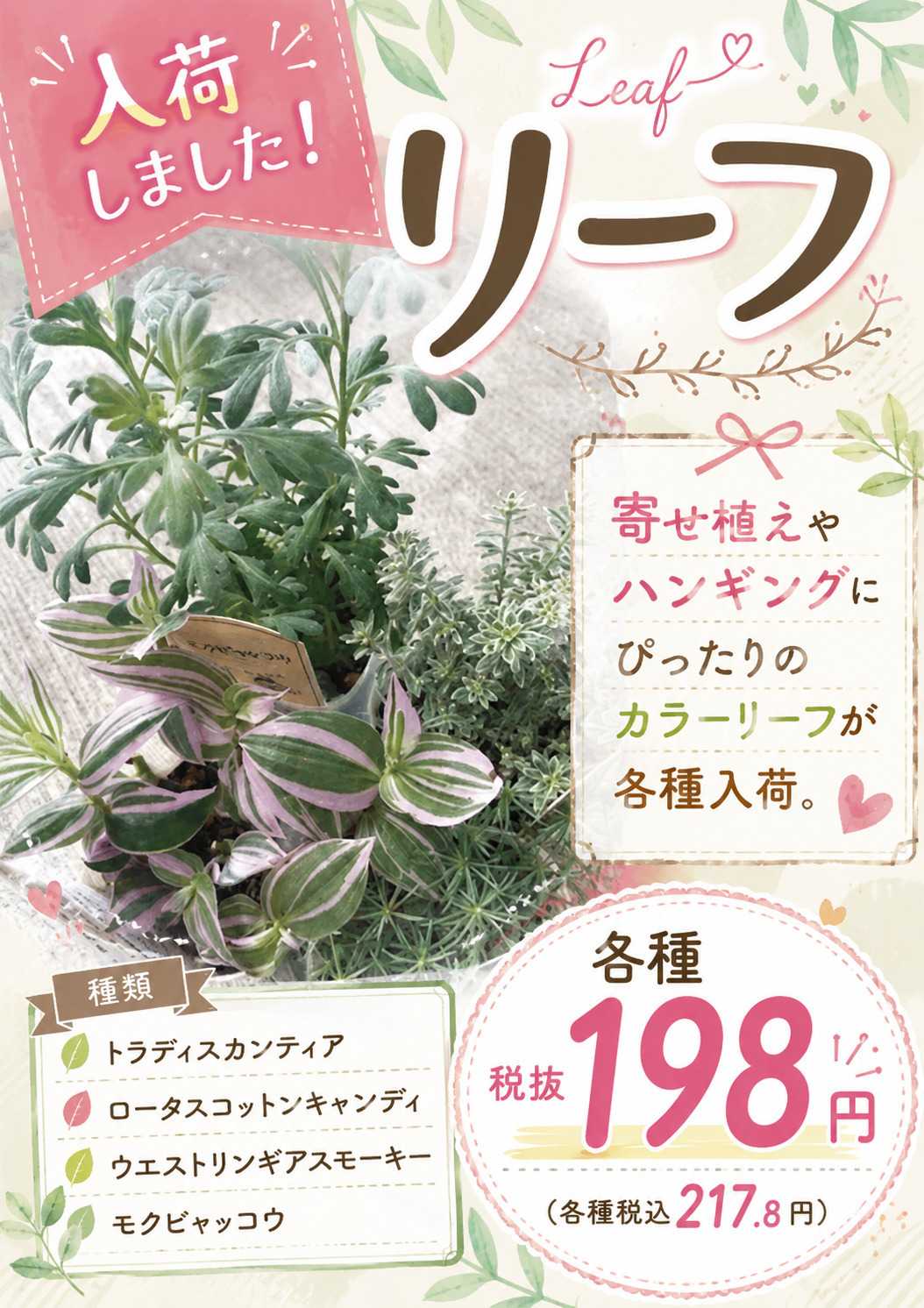 ホームセンタームサシ ムサシ須坂店おススメ情報