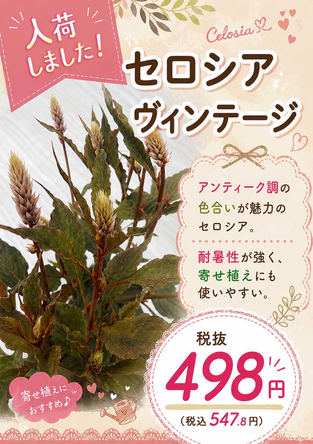 ホームセンタームサシ ムサシ須坂店おススメ情報