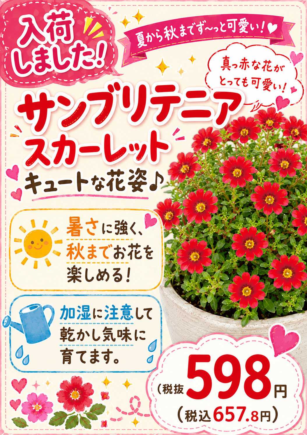 ホームセンタームサシ ムサシ須坂店おススメ情報
