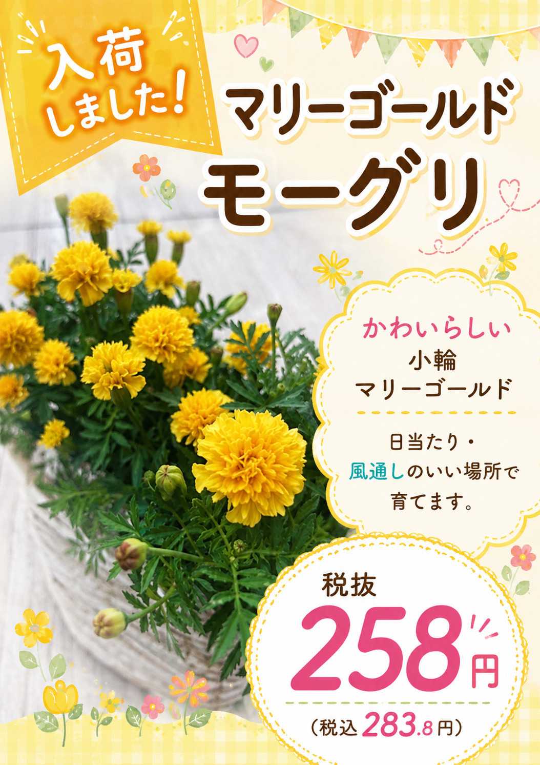 ホームセンタームサシ ムサシ須坂店おススメ情報