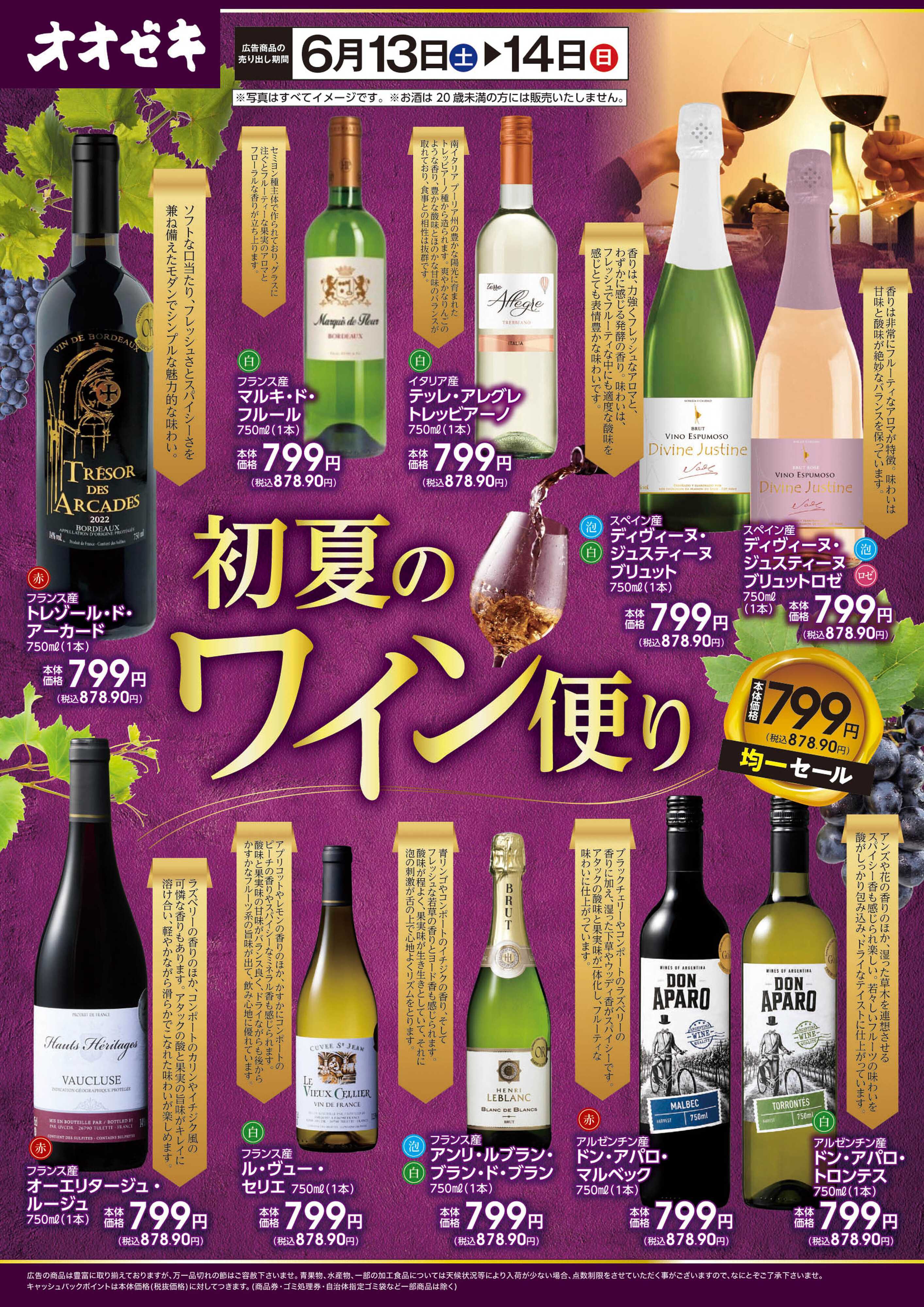 オオゼキ 6/13(土)～14(日)初夏のワイン便り