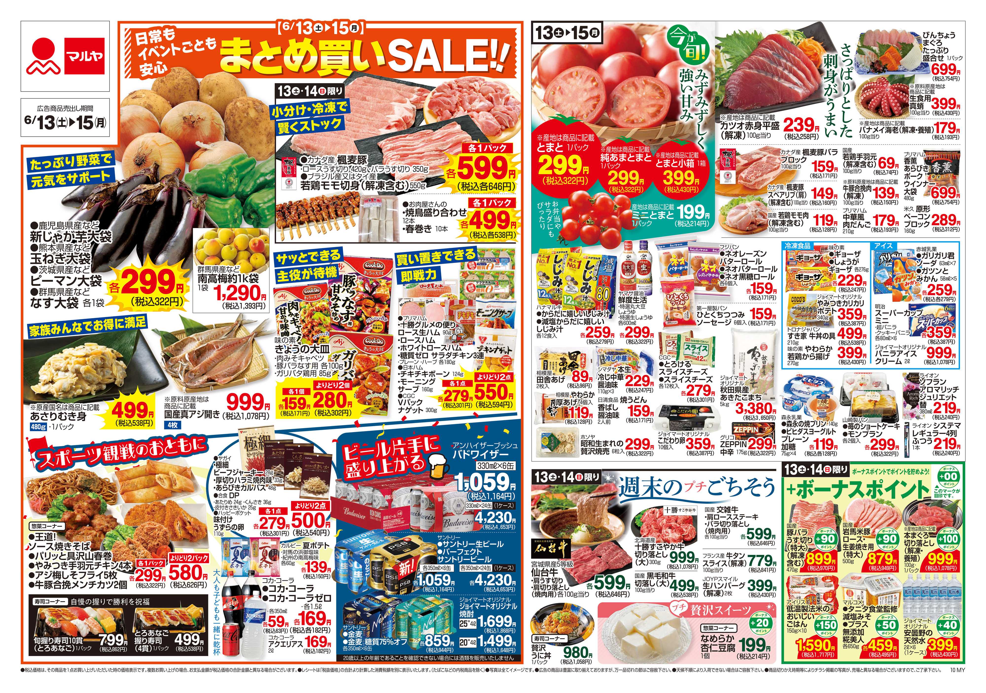 マルヤ 6/13～6/15