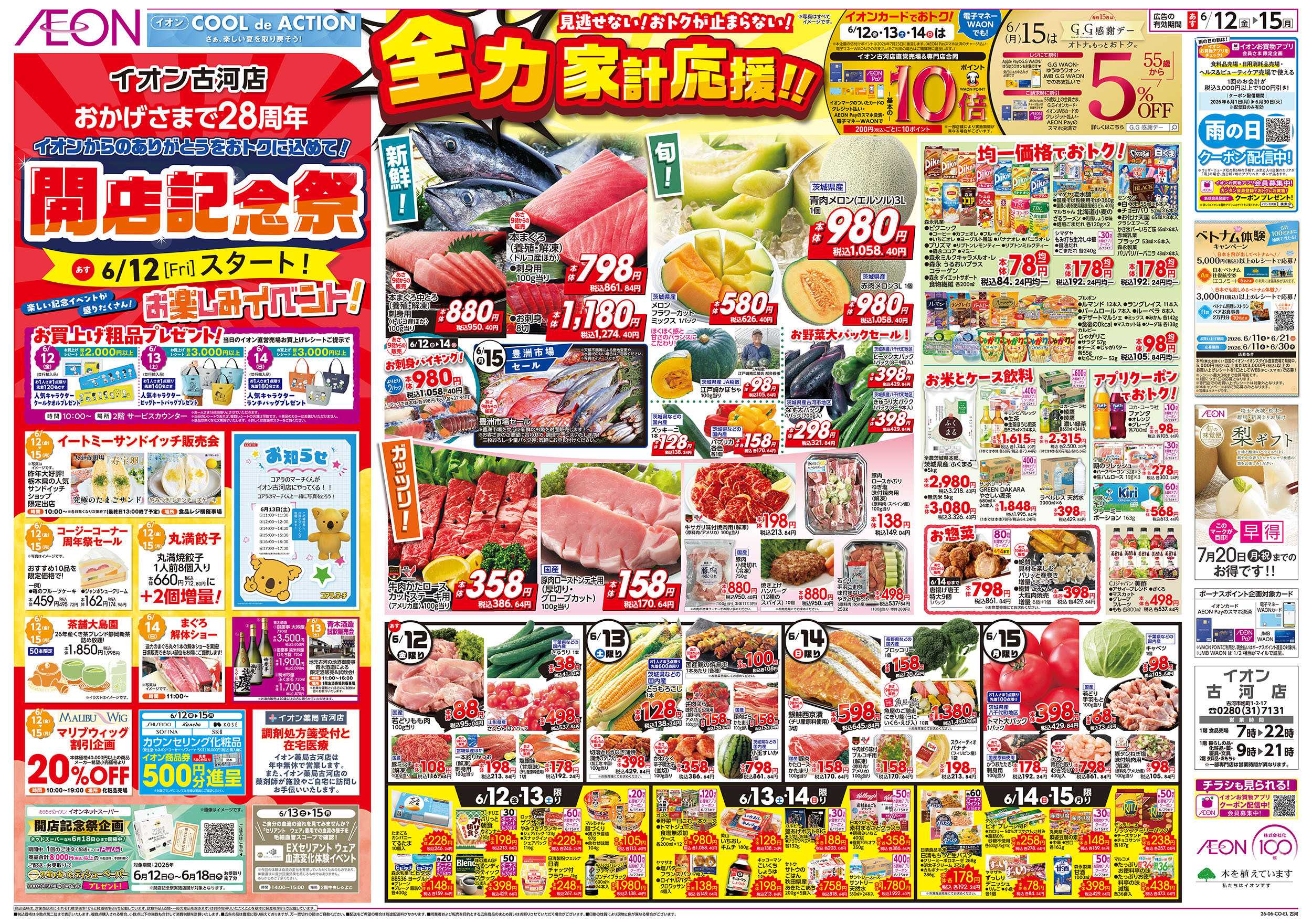 イオン 6/12号　開店記念祭：表面
