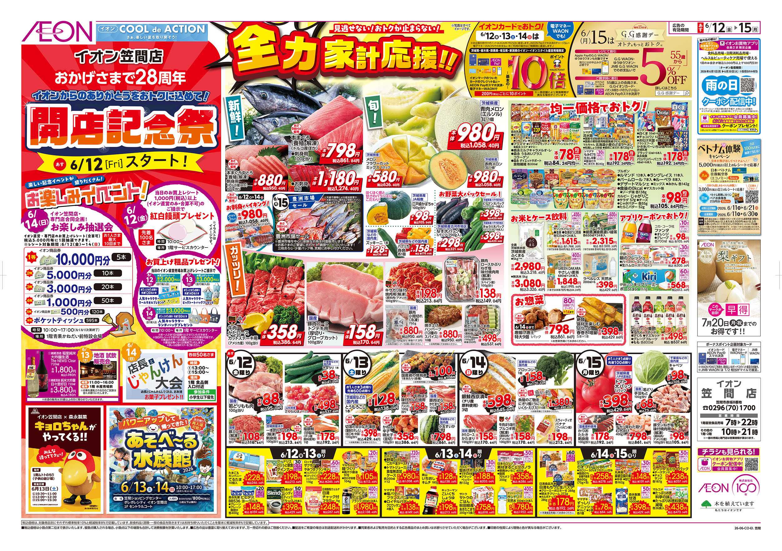 イオン 6/12号　開店記念祭：表面