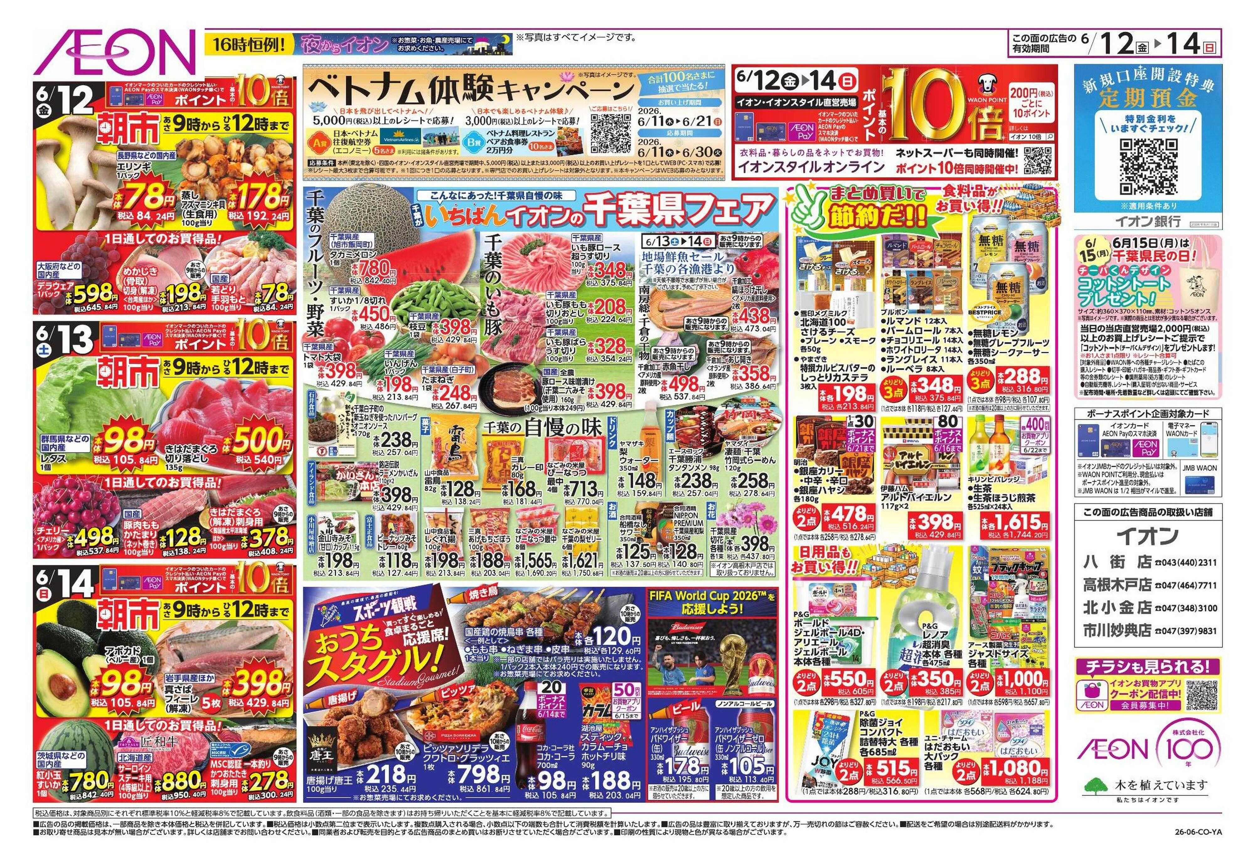 イオン サマーフェス/ベトナムフェア