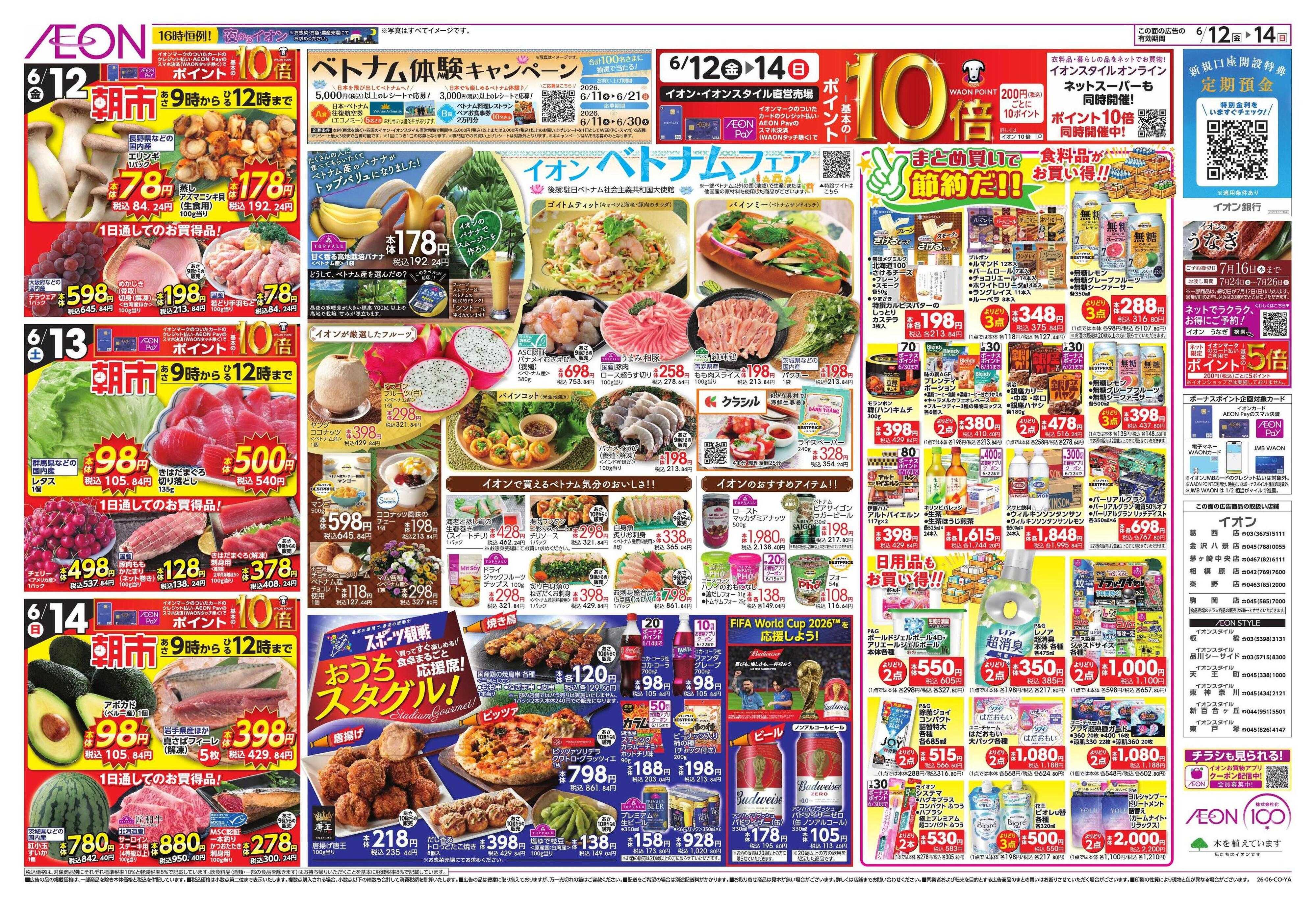 イオン サマーフェス/ベトナムフェア