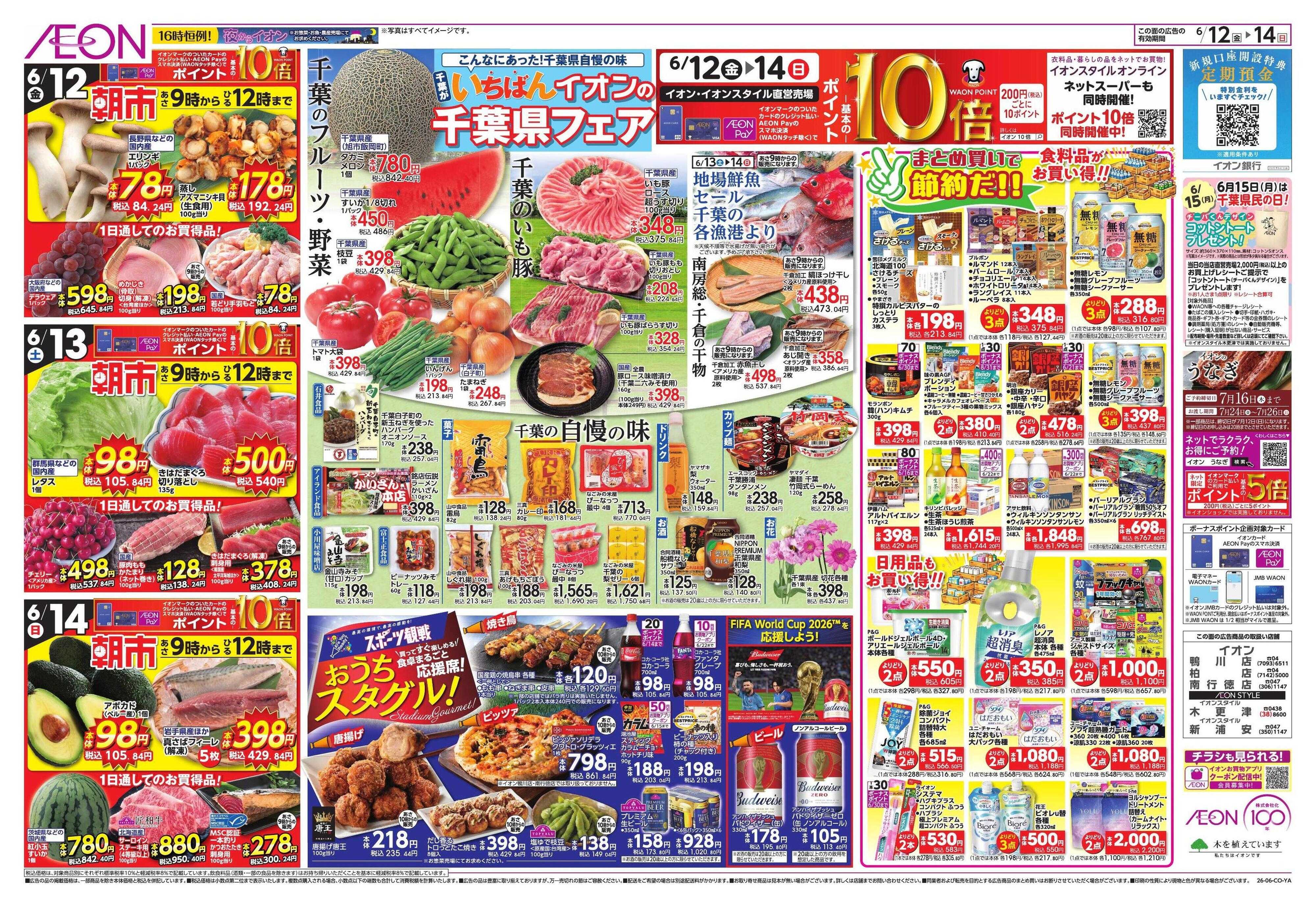 イオン サマーフェス/ベトナムフェア