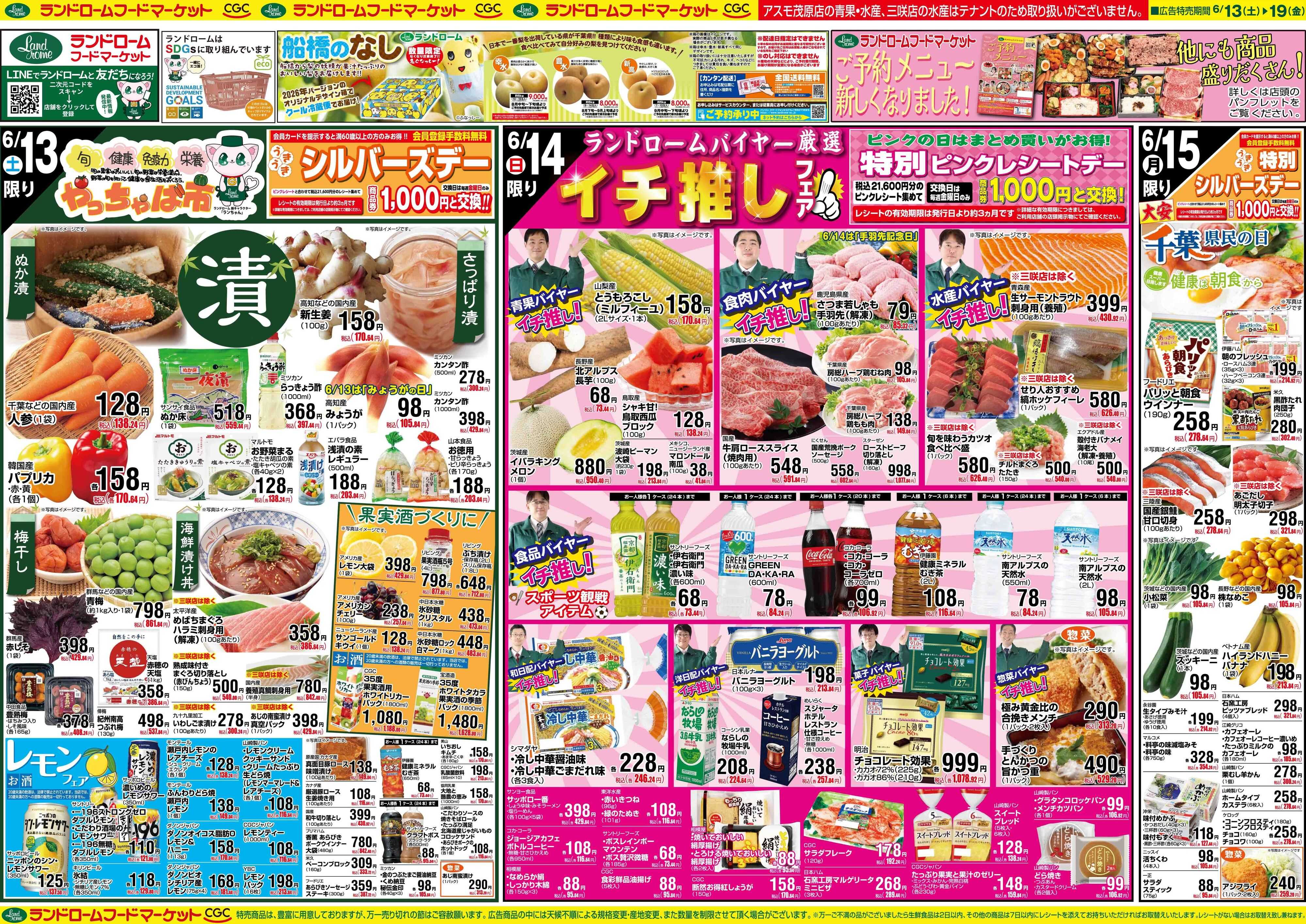 ランドローム 6/13号