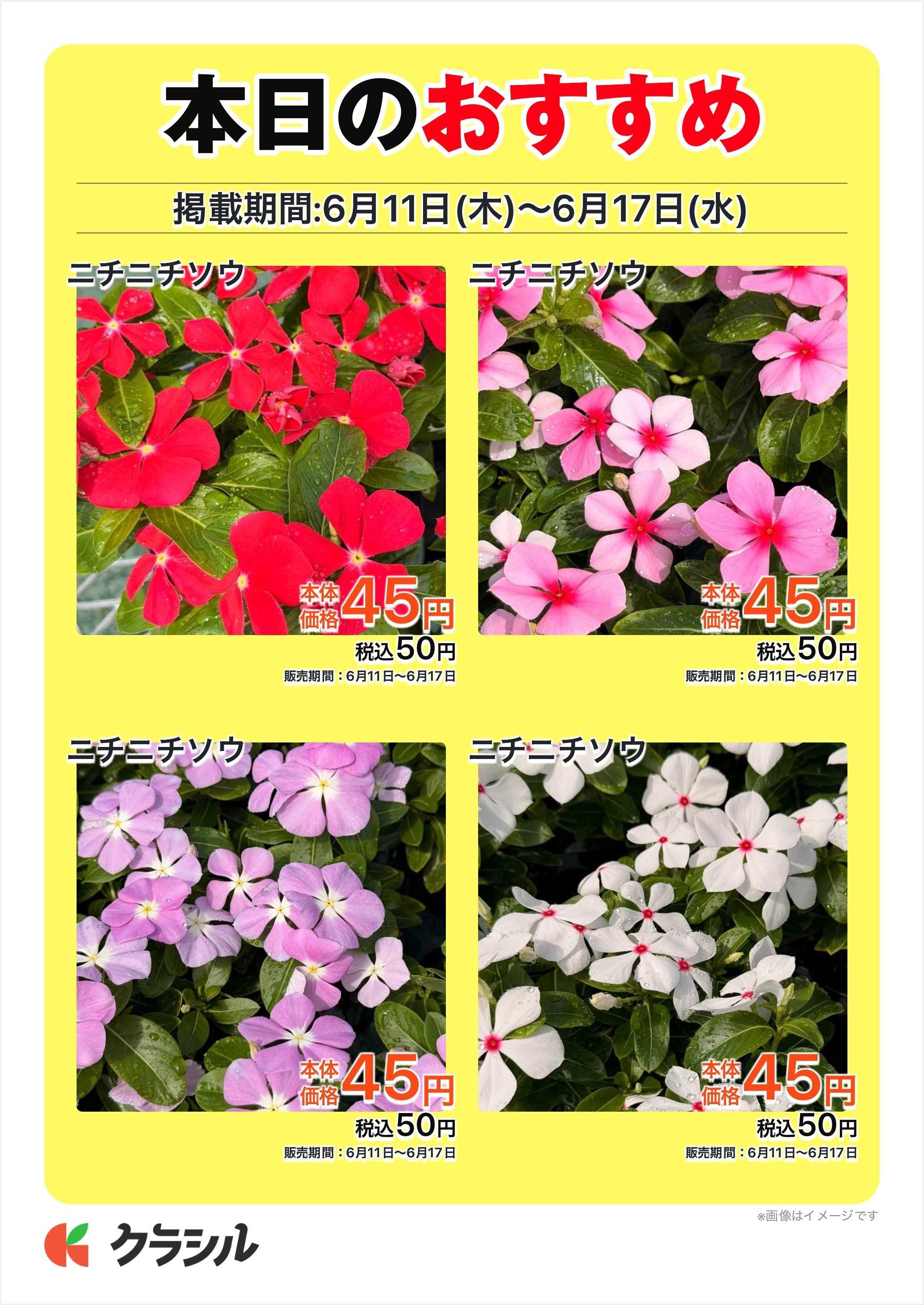 JAあいち尾東 本日のおすすめ
