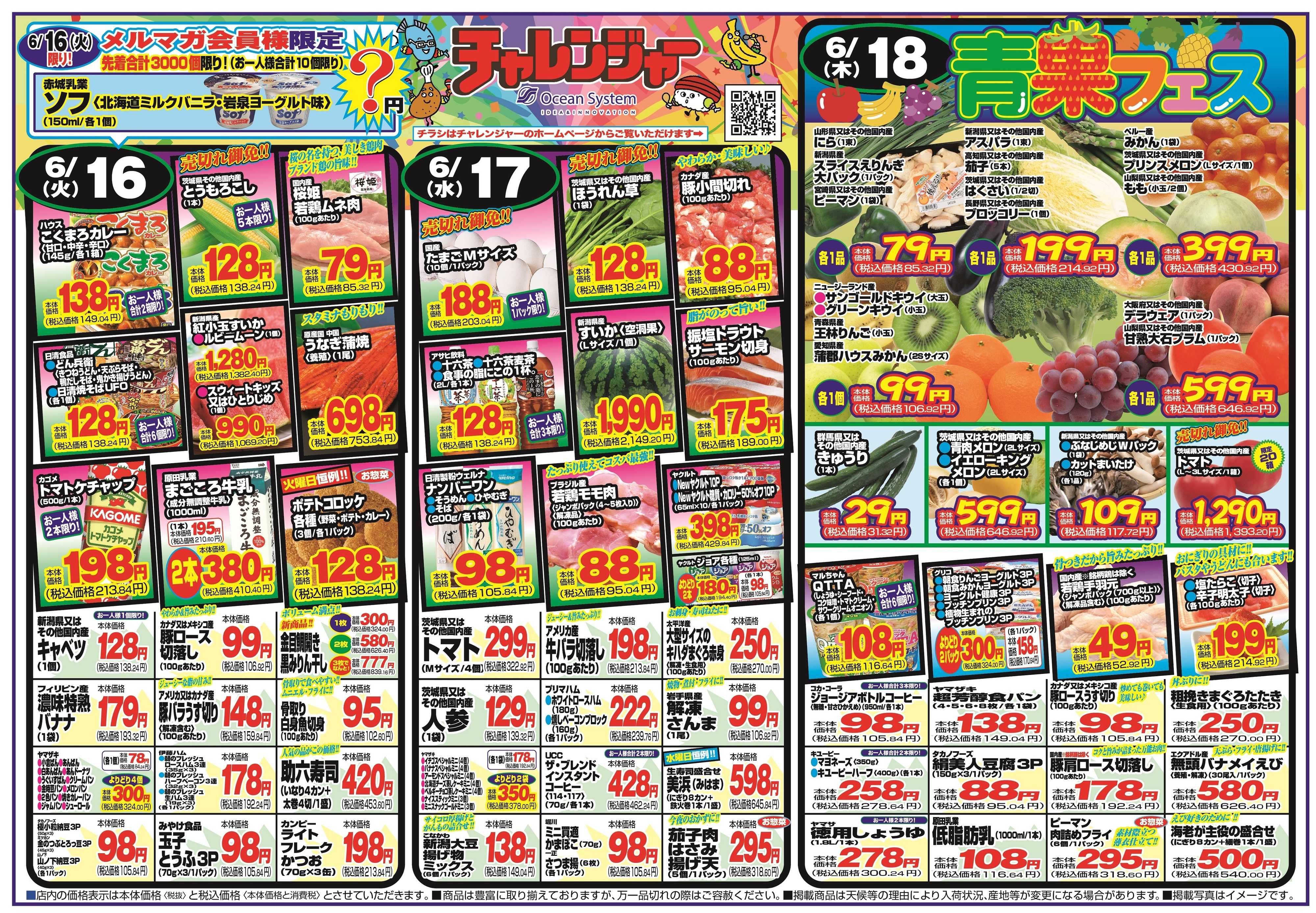 チャレンジャー 6月16日～6月19日　日替りお買い得情報！