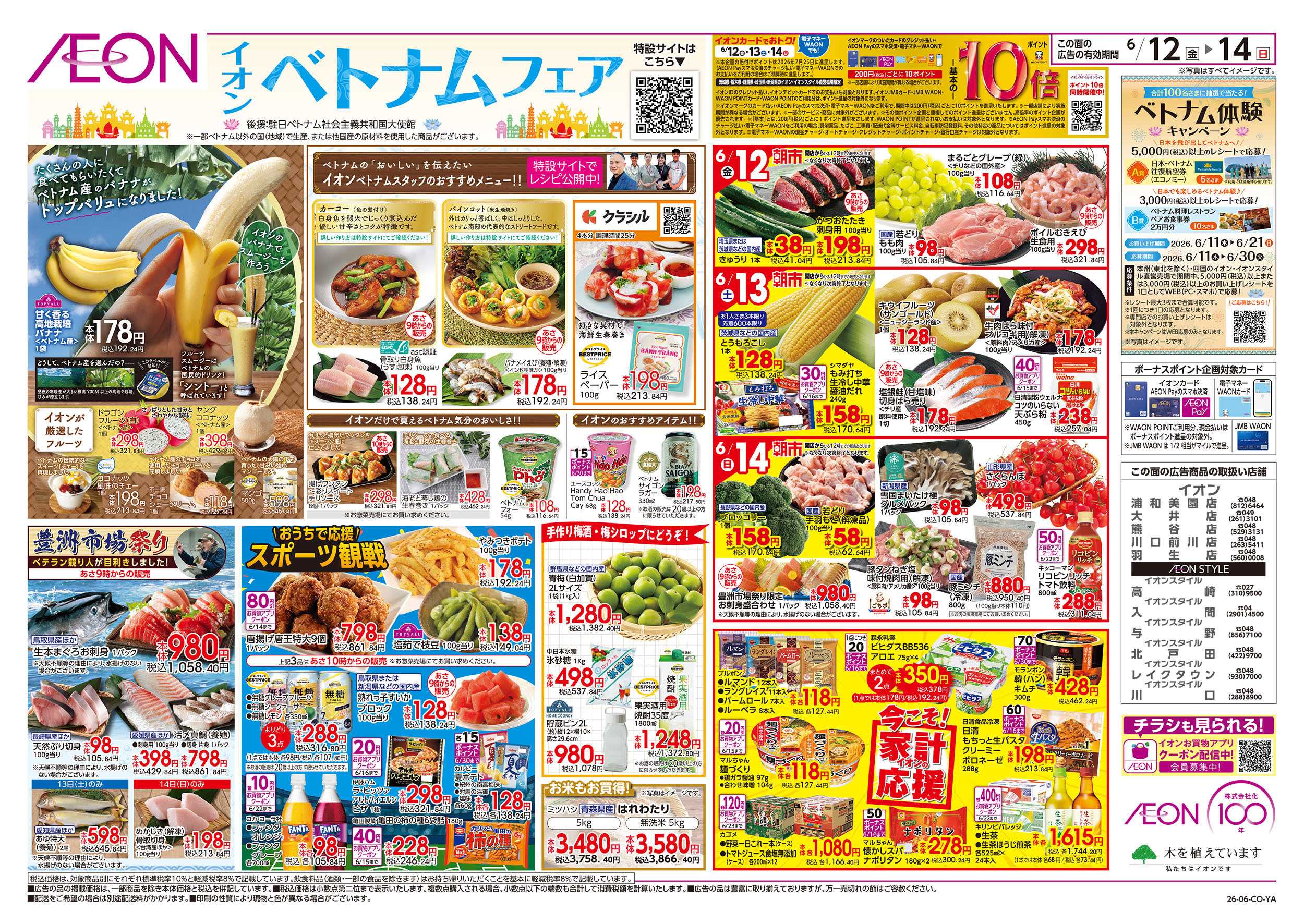 イオン 6/12号　ベトナムフェア：表面
