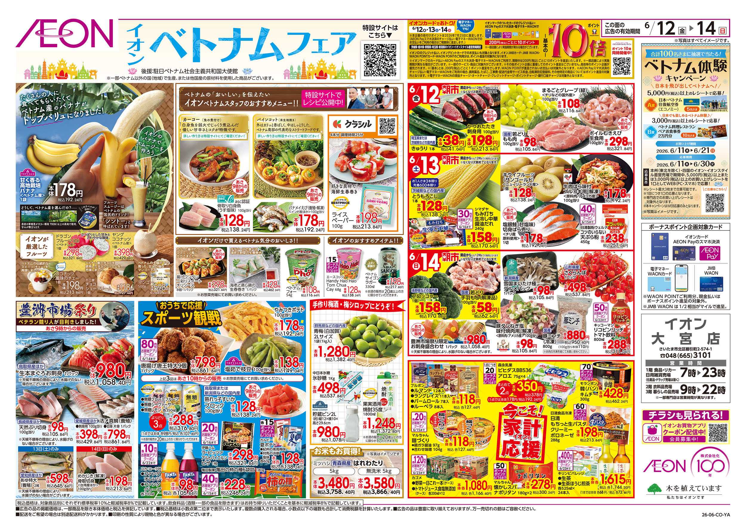 イオン 6/12号　ベトナムフェア：表面