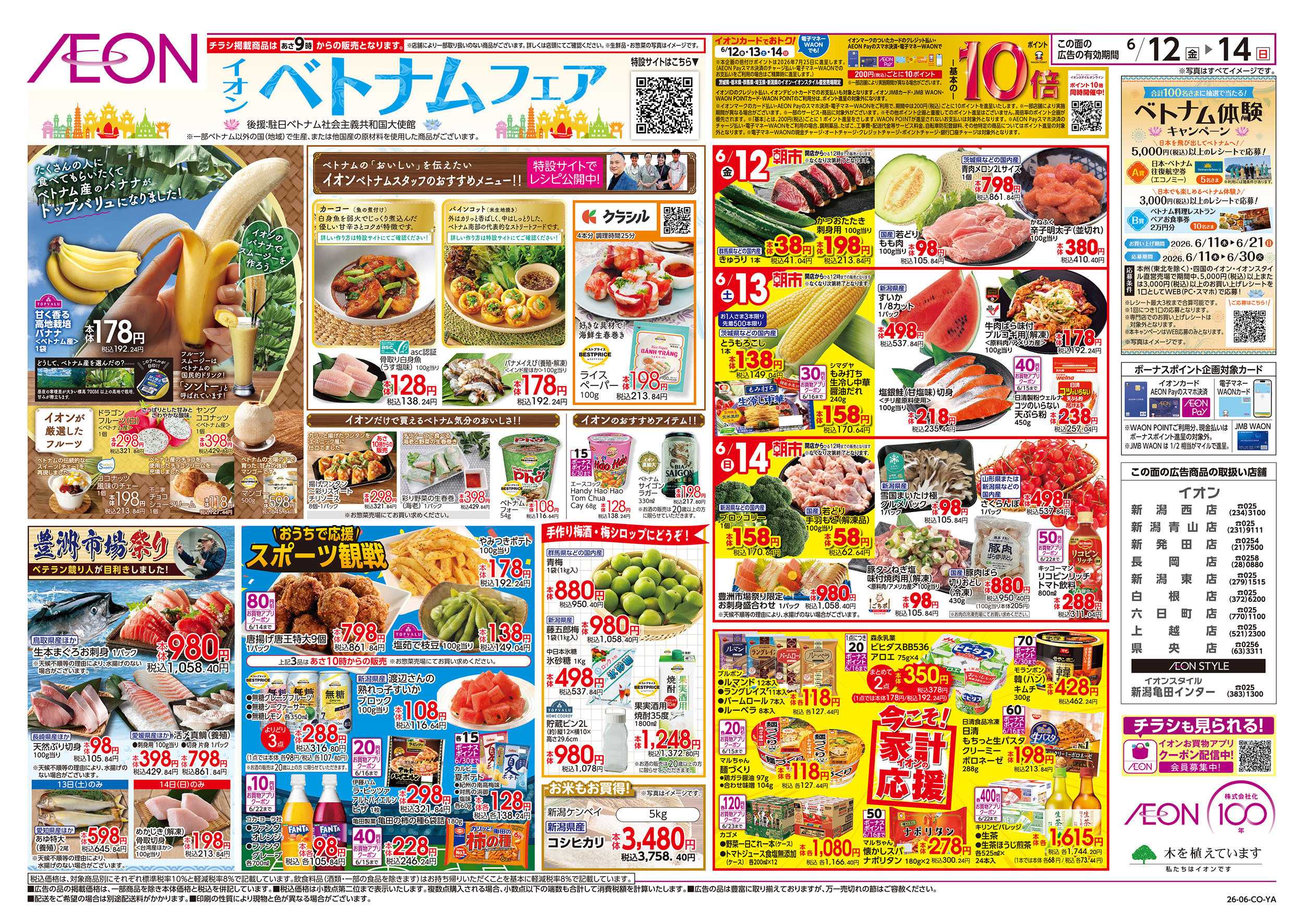 イオン 6/12号　ベトナムフェア：表面